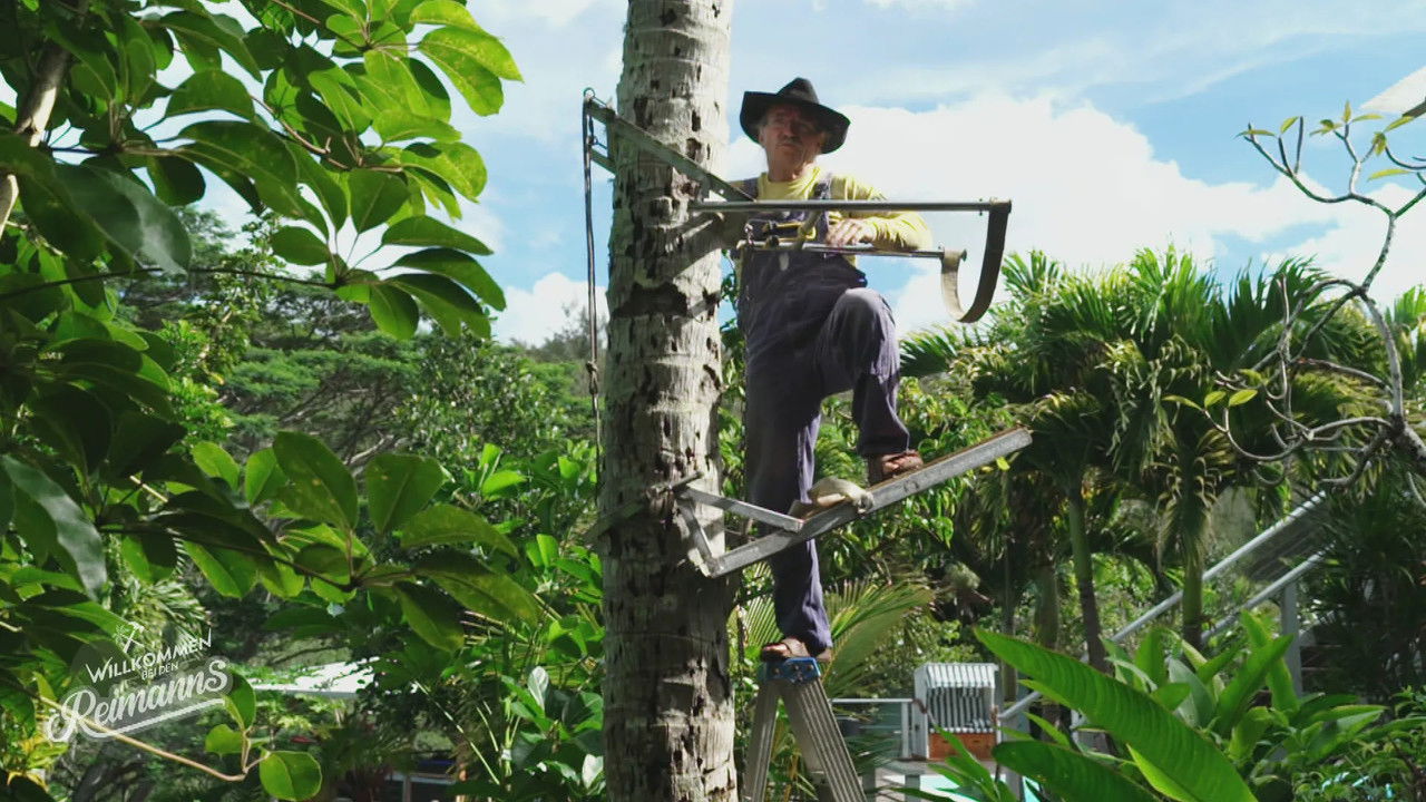 Willkommen bei den Reimanns - Season 4 Episode 4 : Episode 4