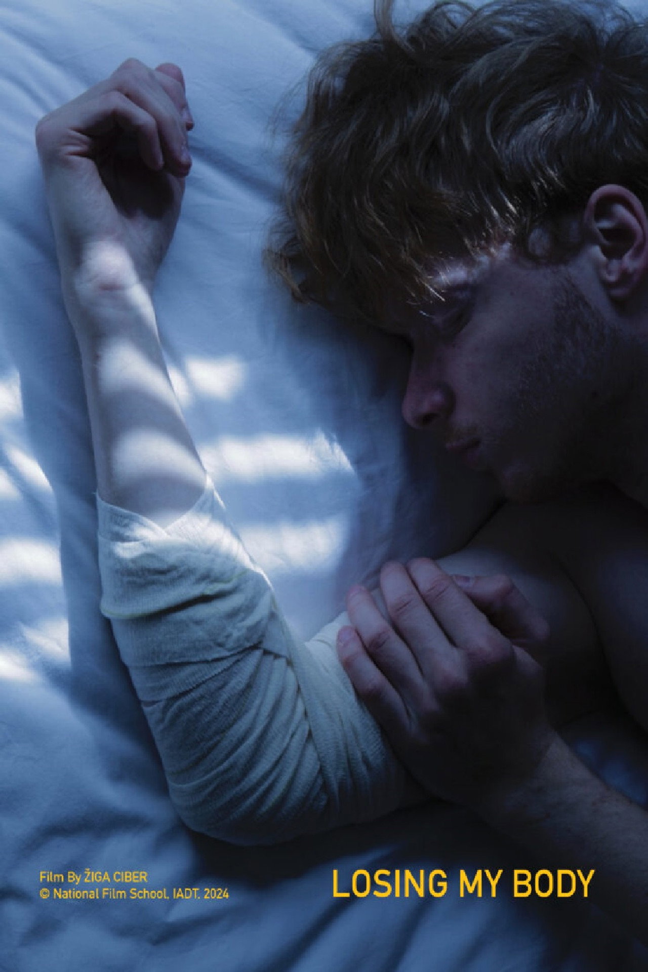 Losing My Body