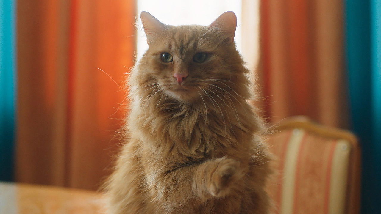 Дурдом — Épisode 16