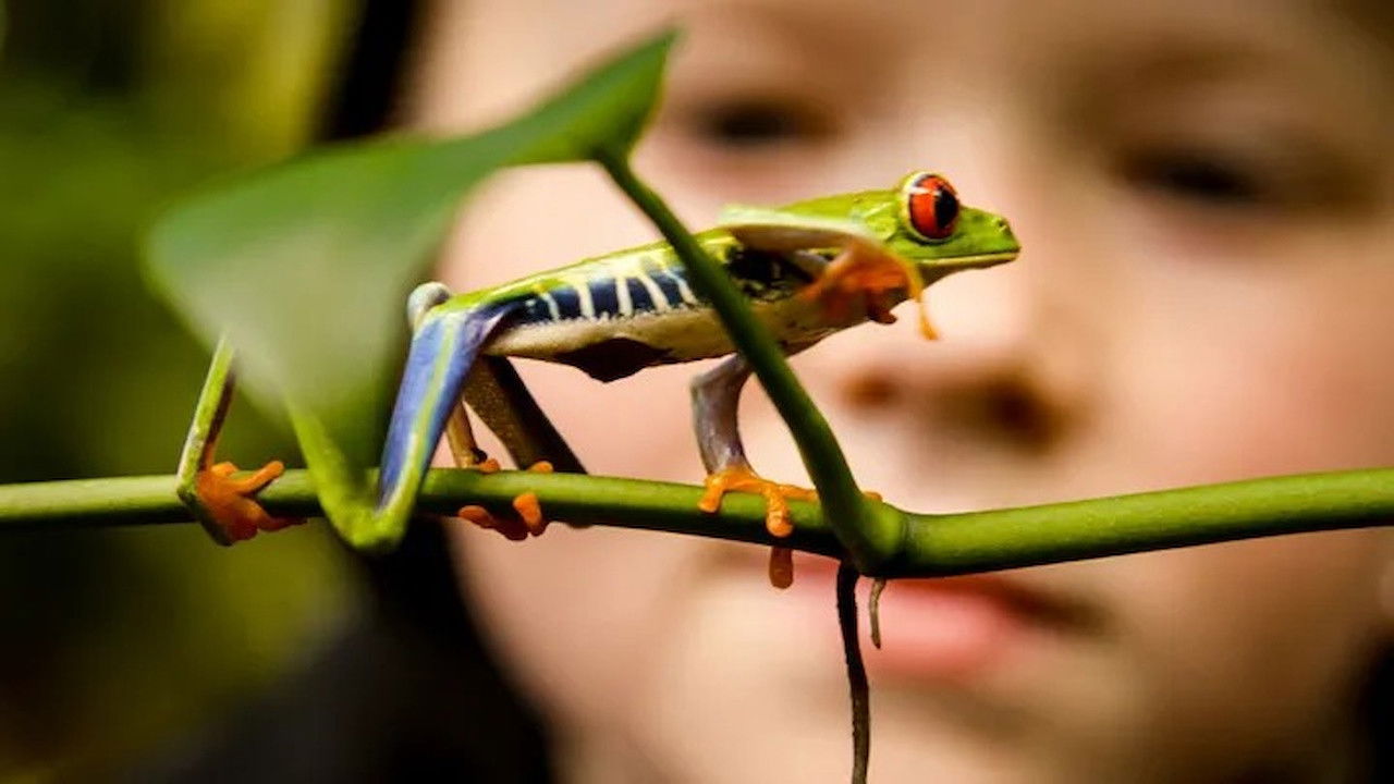 Jonahs dyreverden — Épisode 4