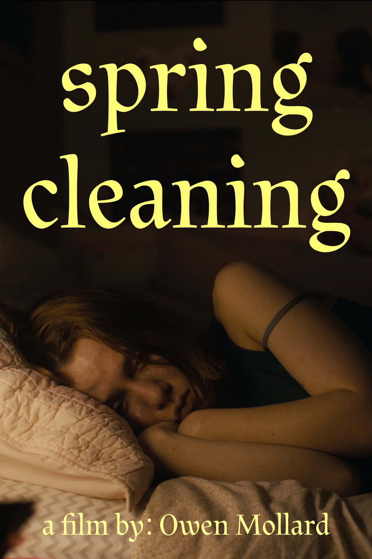 Spring Cleaning Backdrop