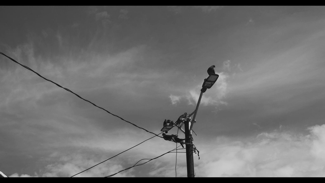 Loneliness still 7