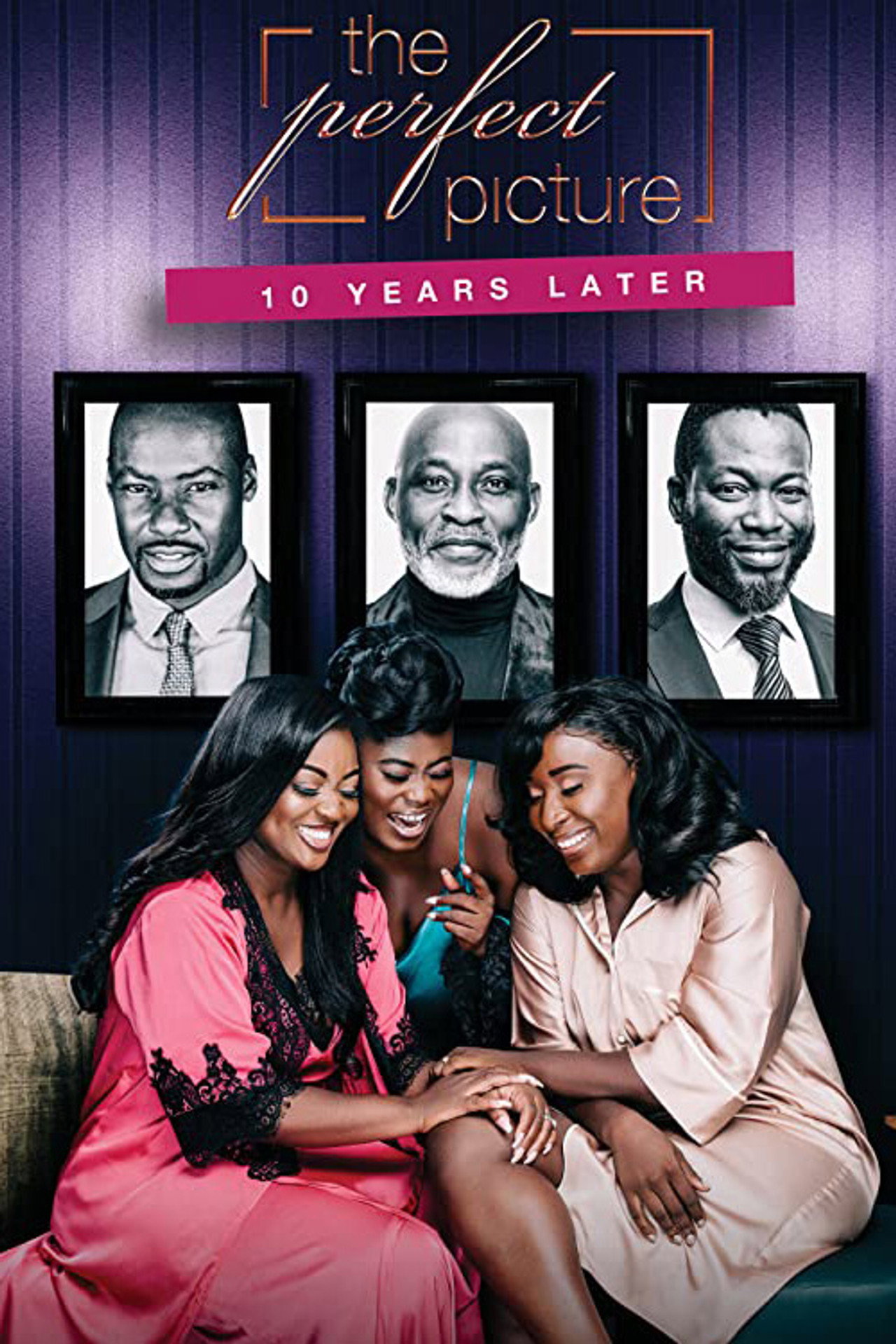 The Perfect Picture: Ten Years Later filmaffisch