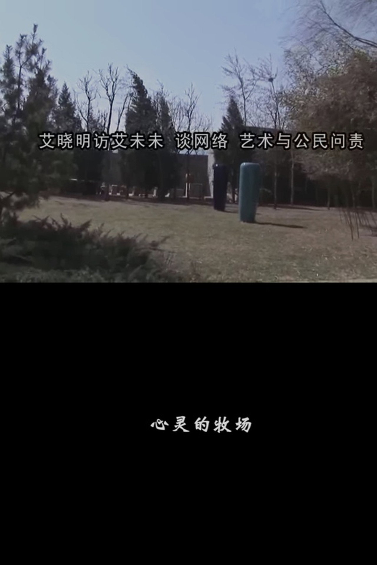 心灵的牧场 filmaffisch