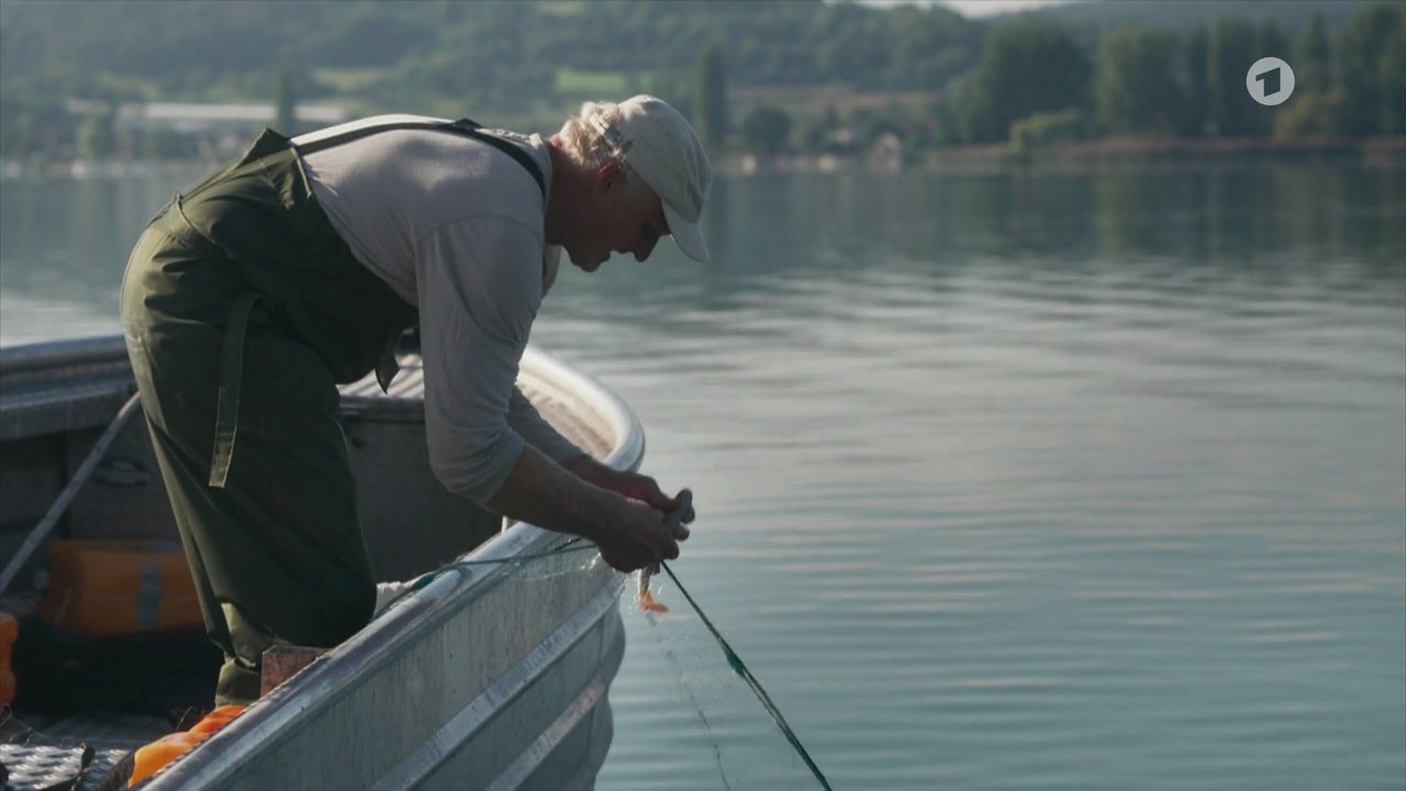 WaPo Bodensee - Season 8 Episode 3 : Episode 3