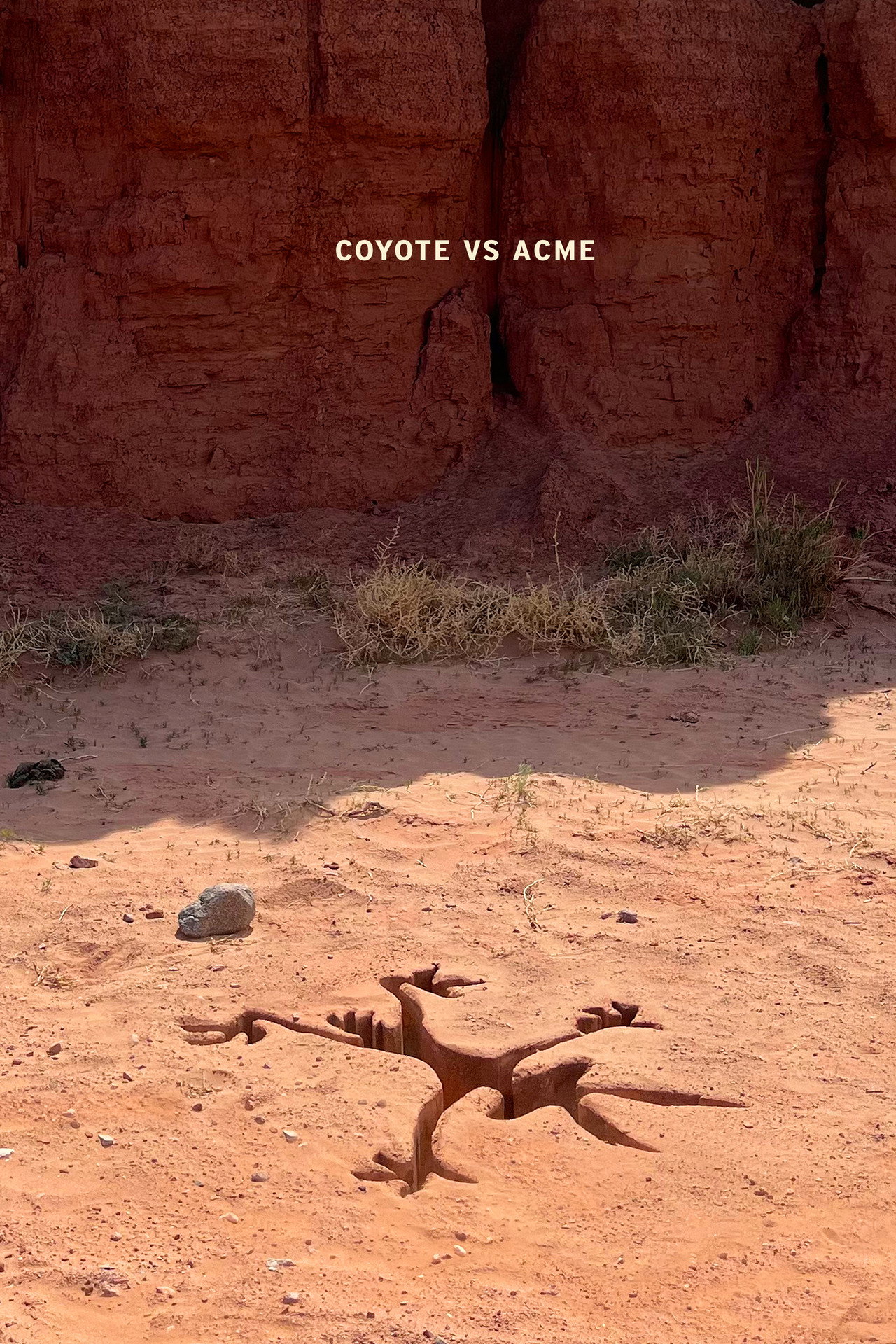 Coyote vs. Acme
