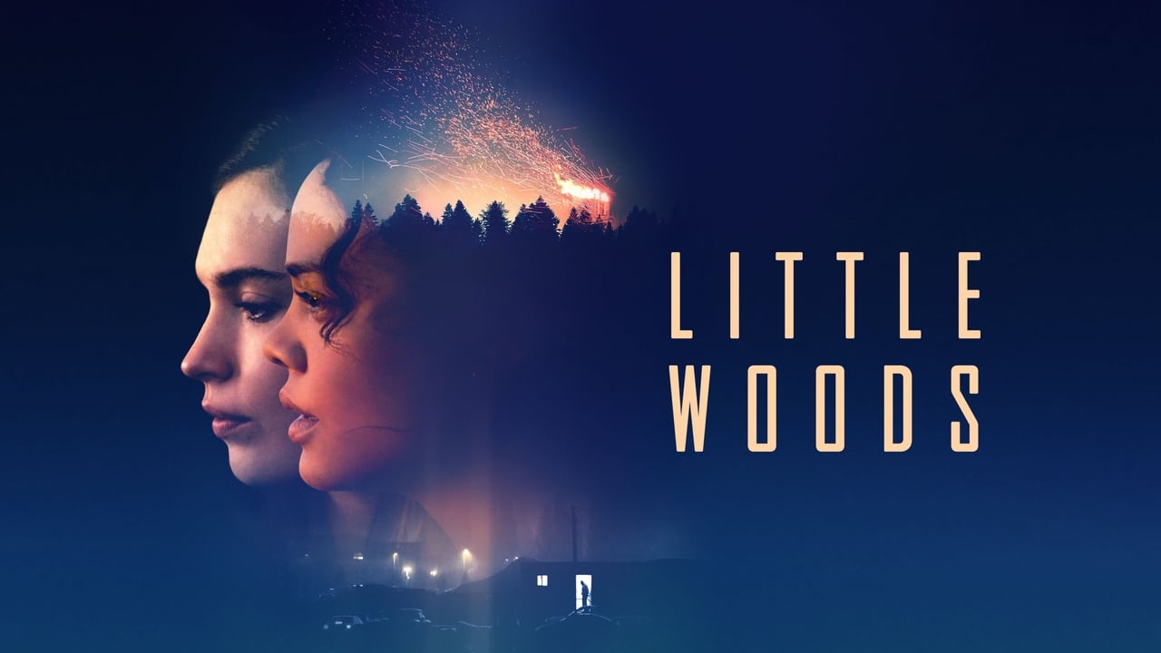 Little Woods background