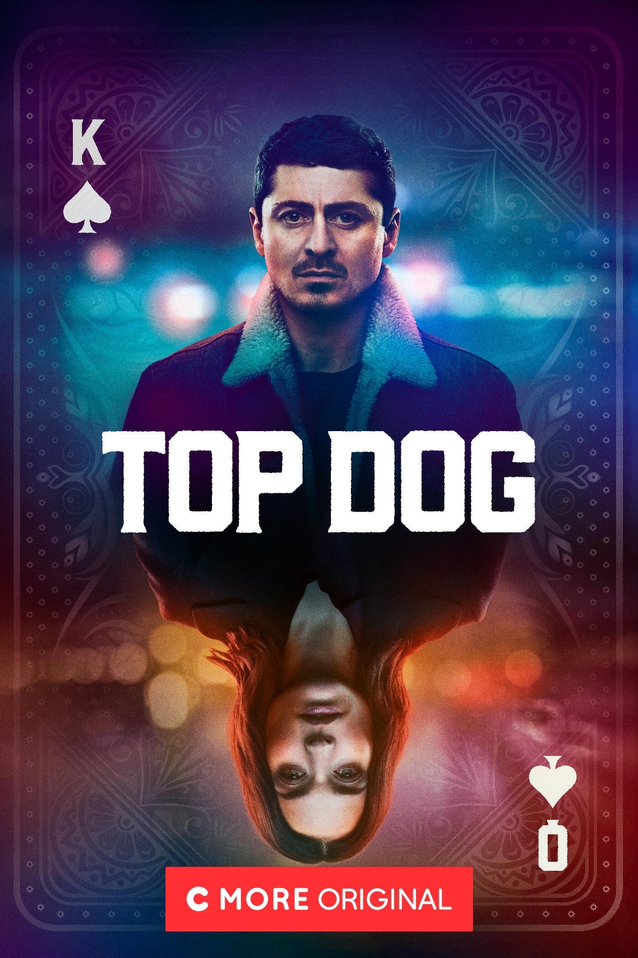 Image Top Dog