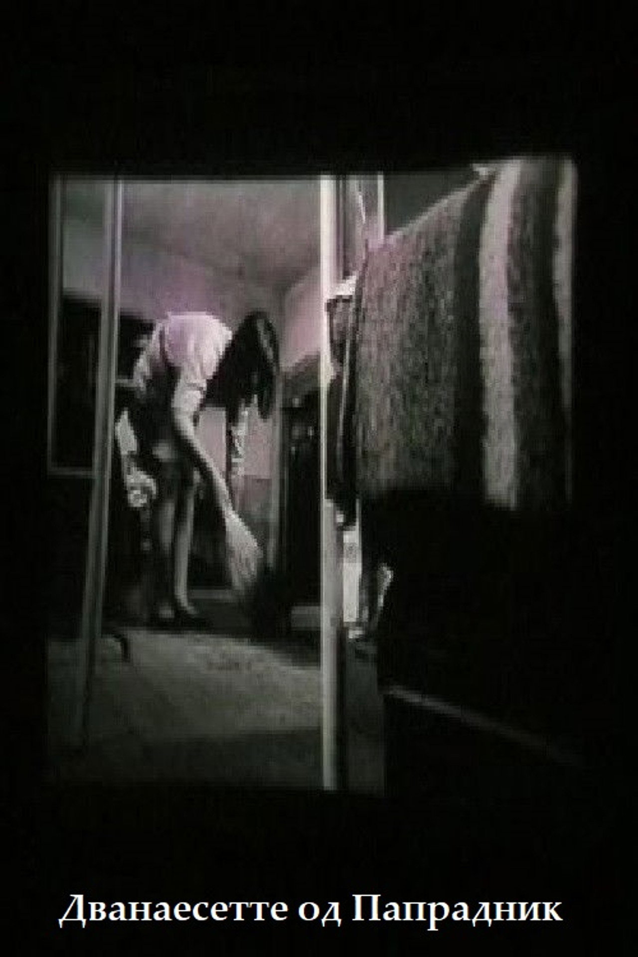 Дванаесетте од Папрадник filmaffisch