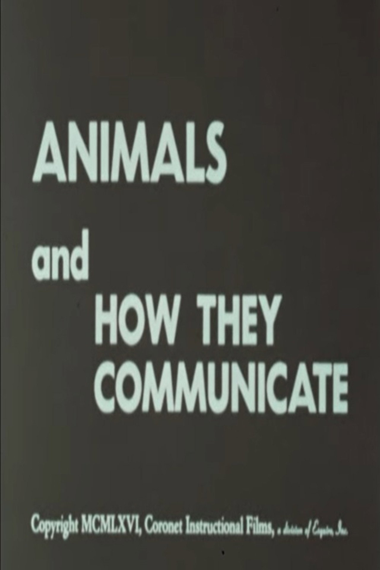 Animals and How They Communicate poster