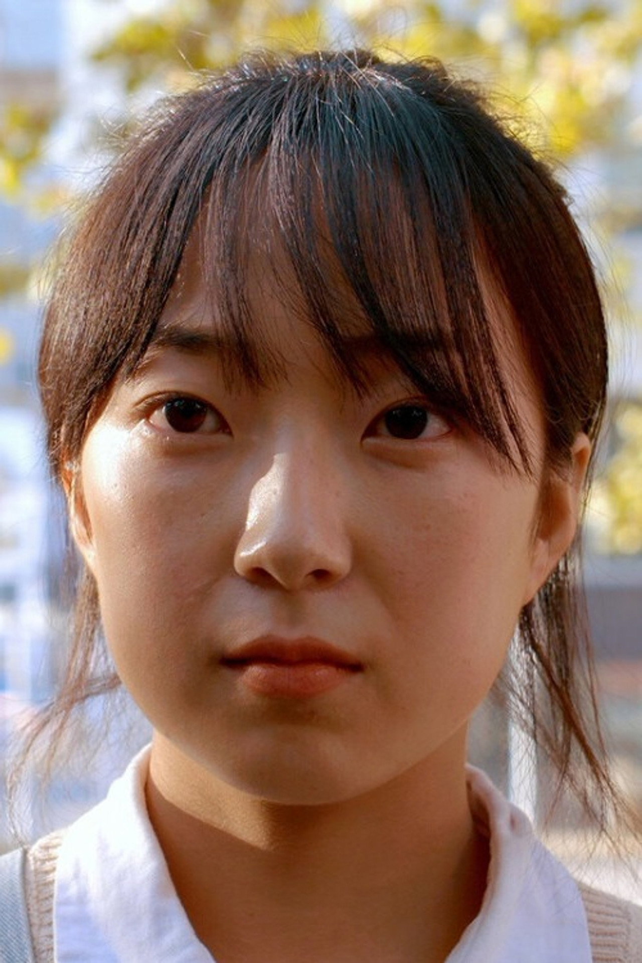 Elephant in the Dark Backdrop