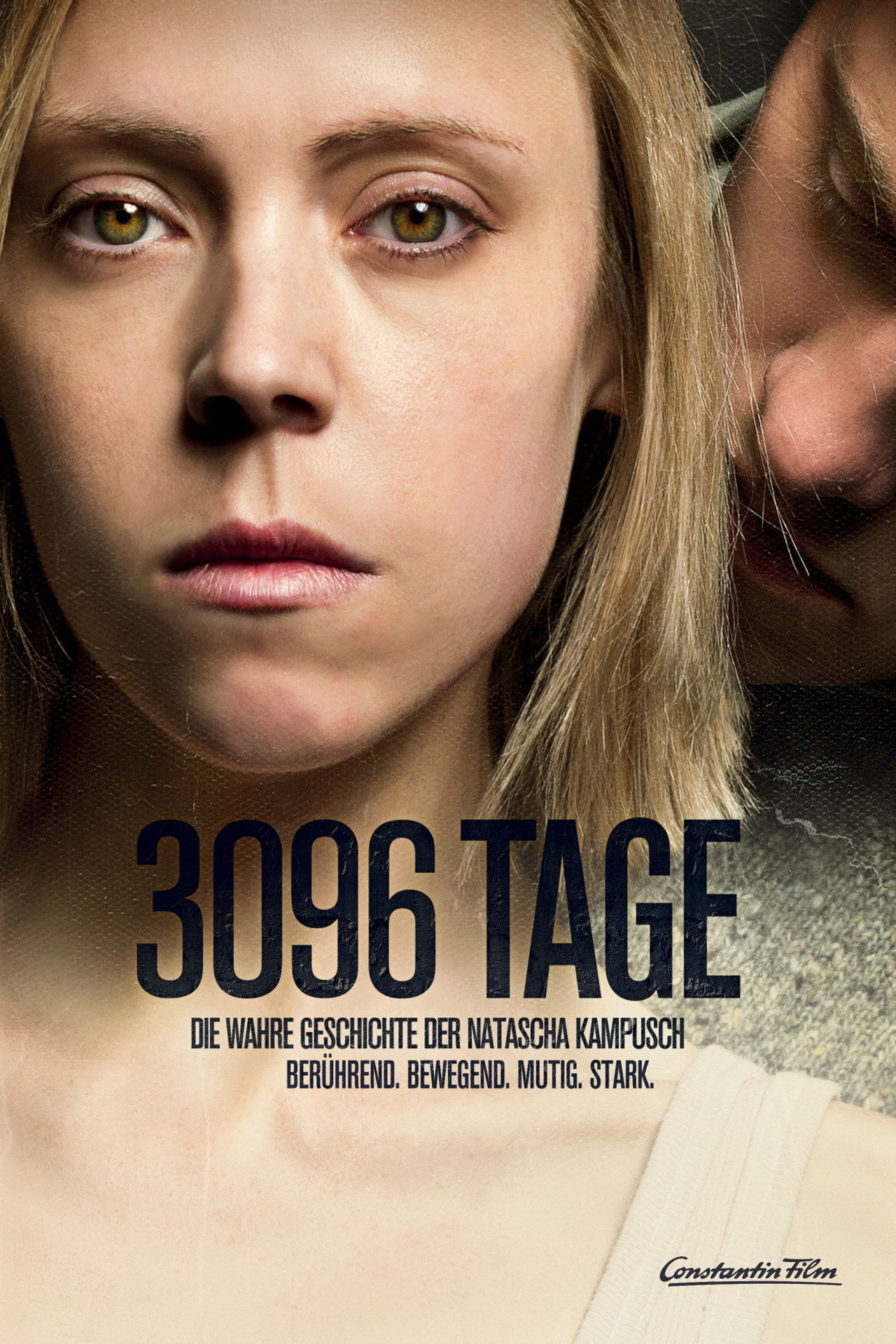 3096 Gün afişi