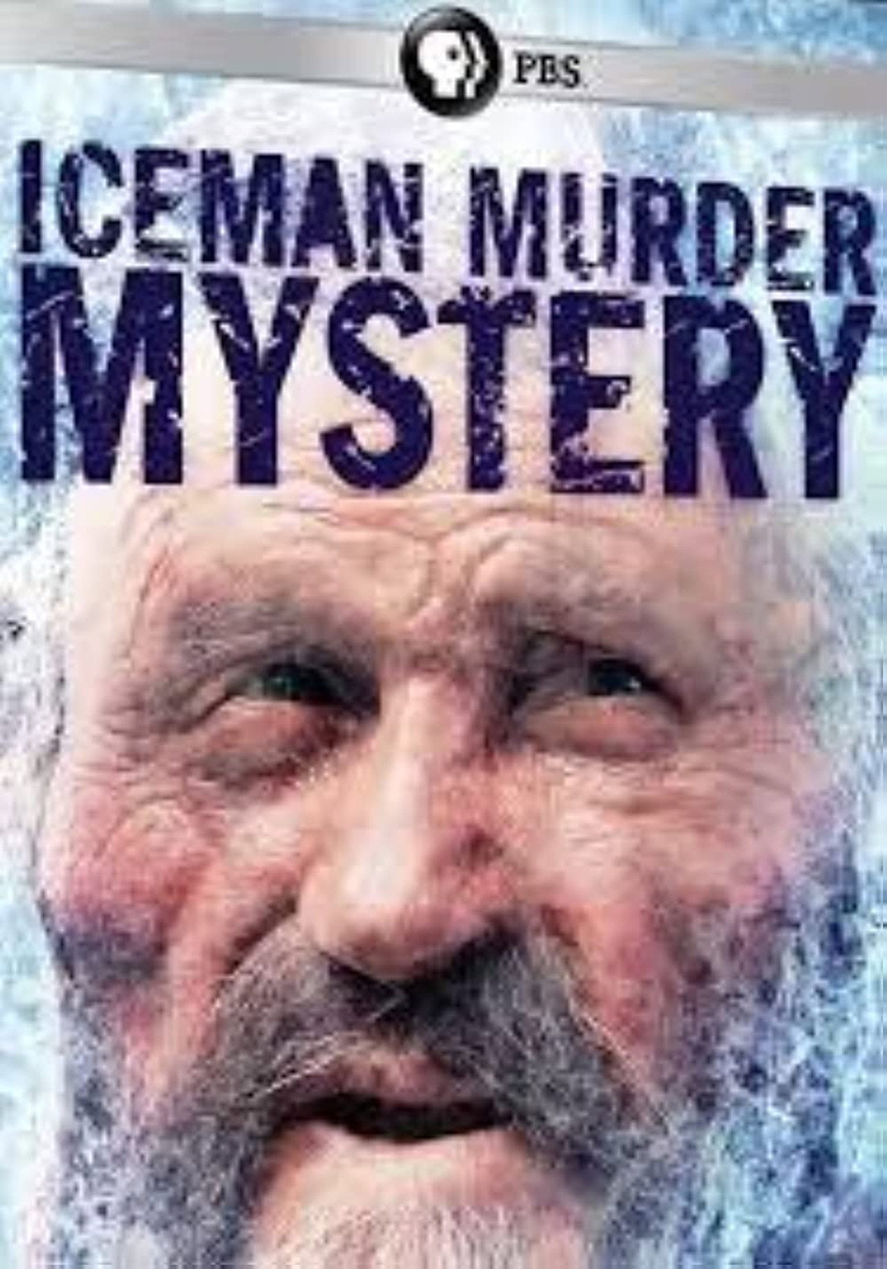 Iceman Murder Mystery: Lost in the Ice poster