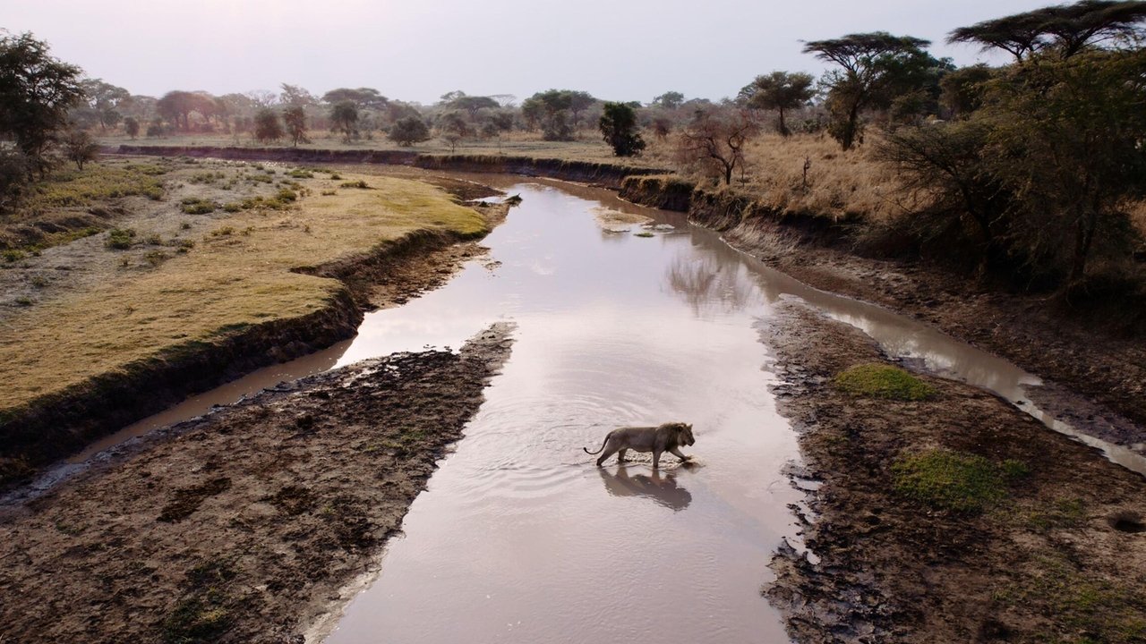 Purgatory Katavi: Africa's Fallen Paradise