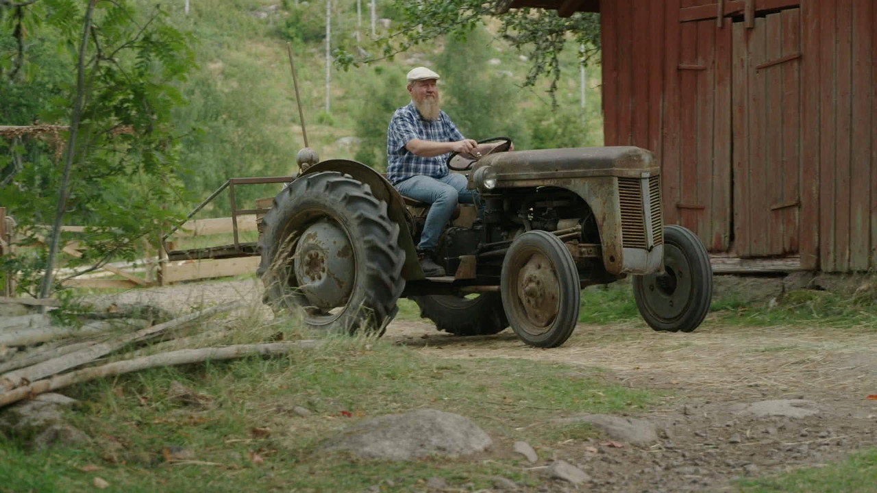 ”Vilket monster” bakgrundsbild