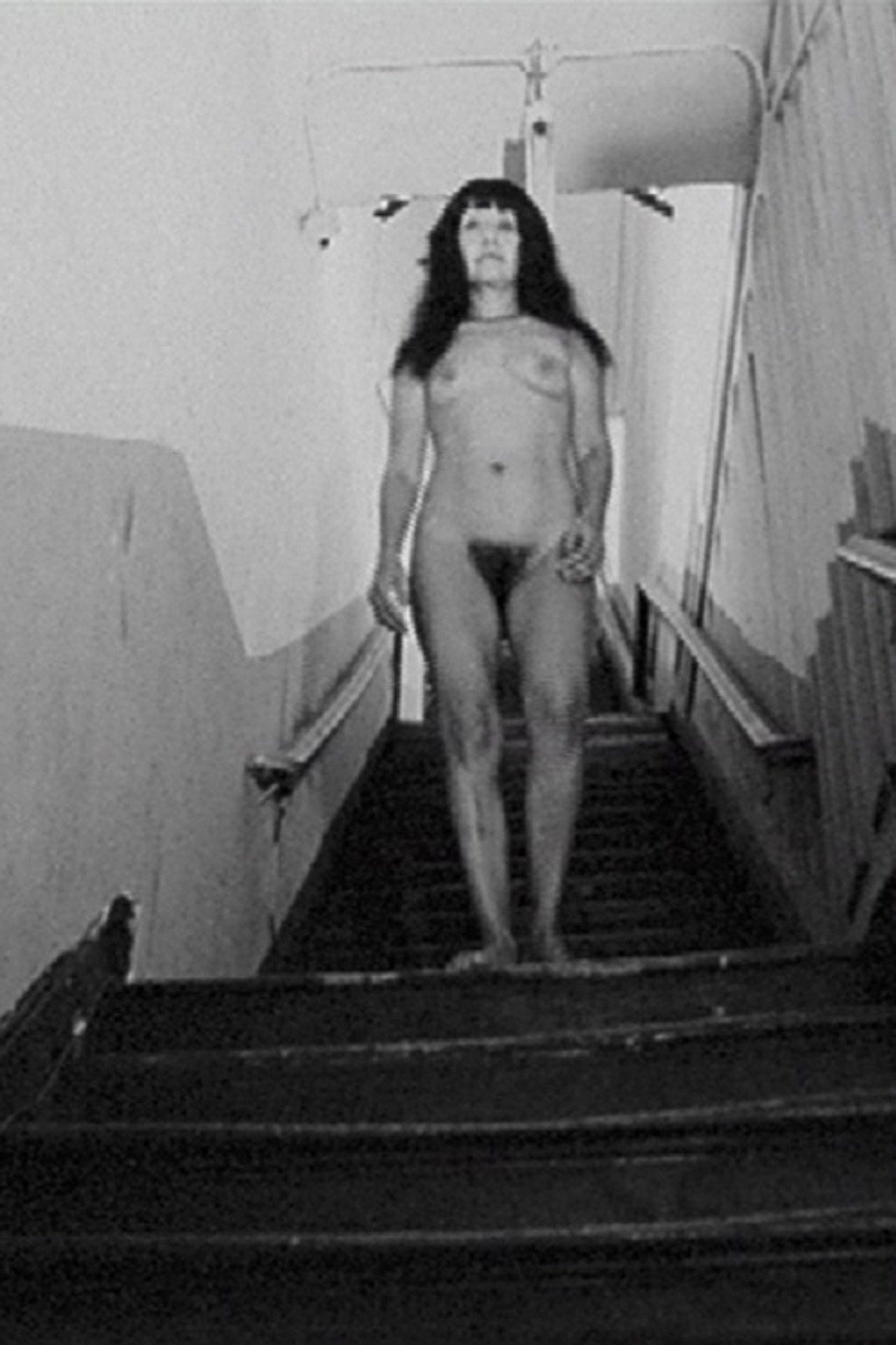 Nude Decending the Stairs filmaffisch