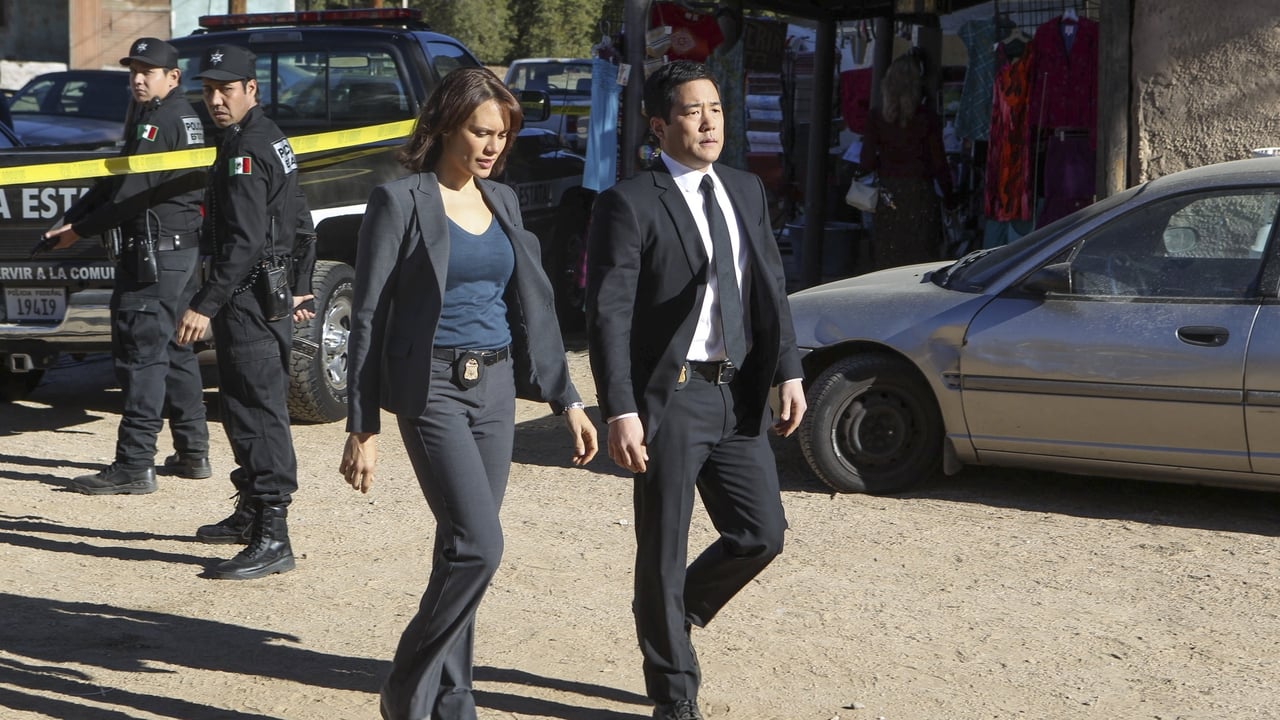 The Mentalist - Season 6 Episode 13 : Black Helicopters