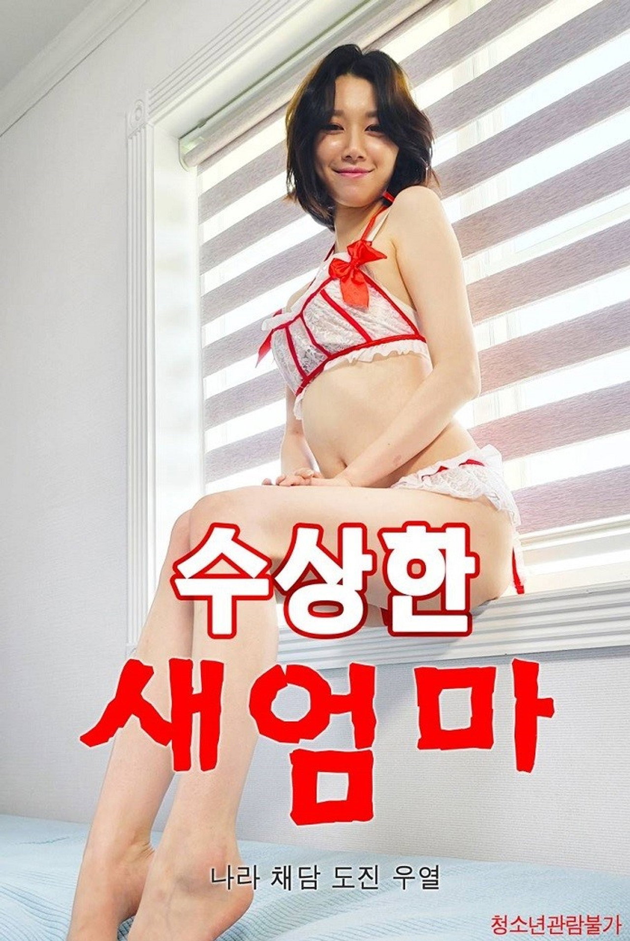 수상한 새엄마 filmaffisch