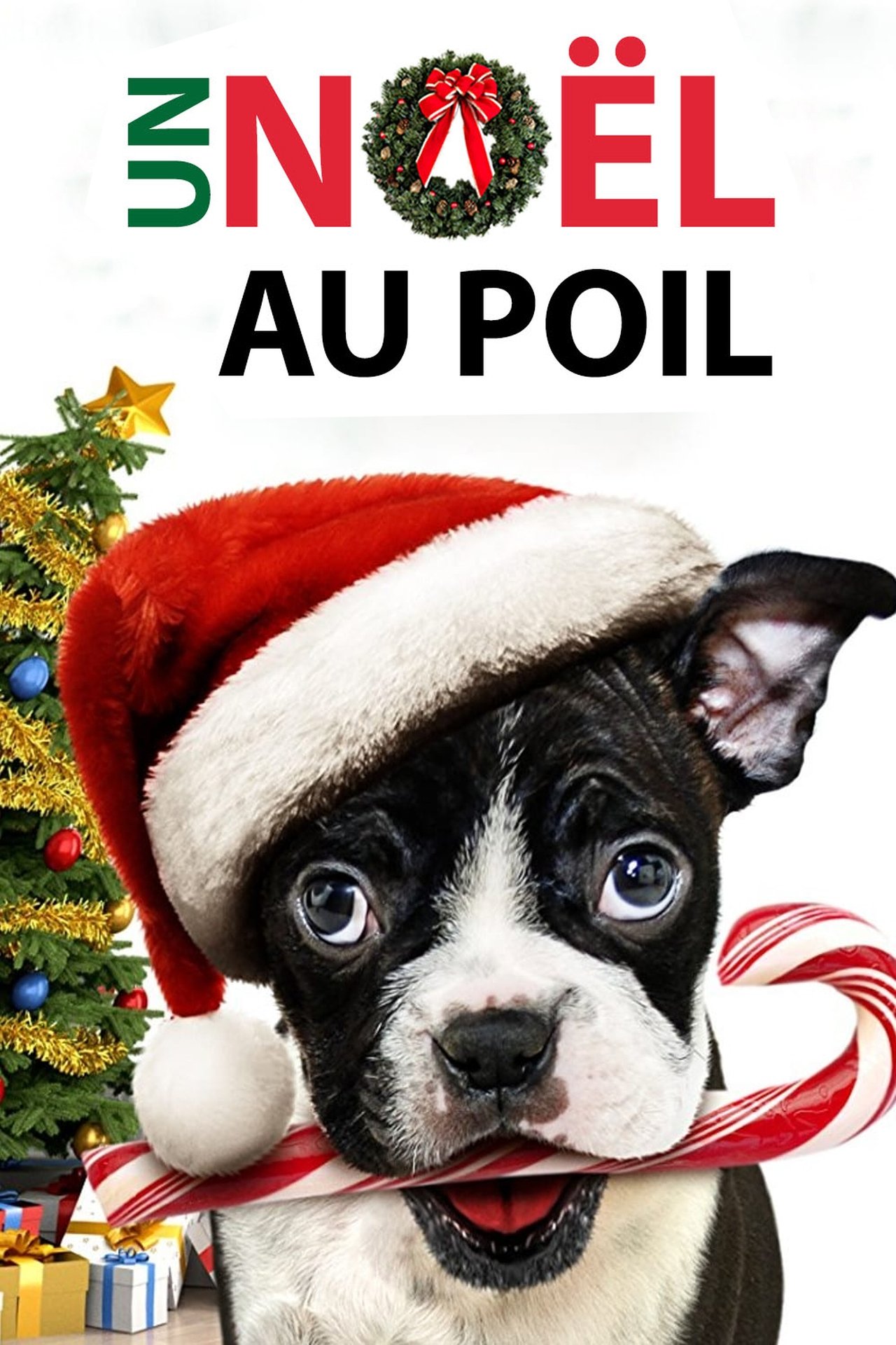 Un Noël au poil poster