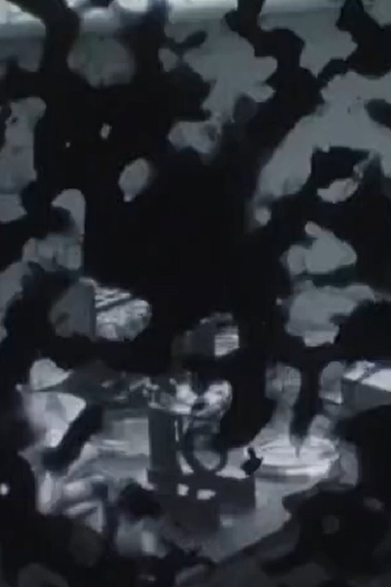 The Handeye (Bone Ghosts)