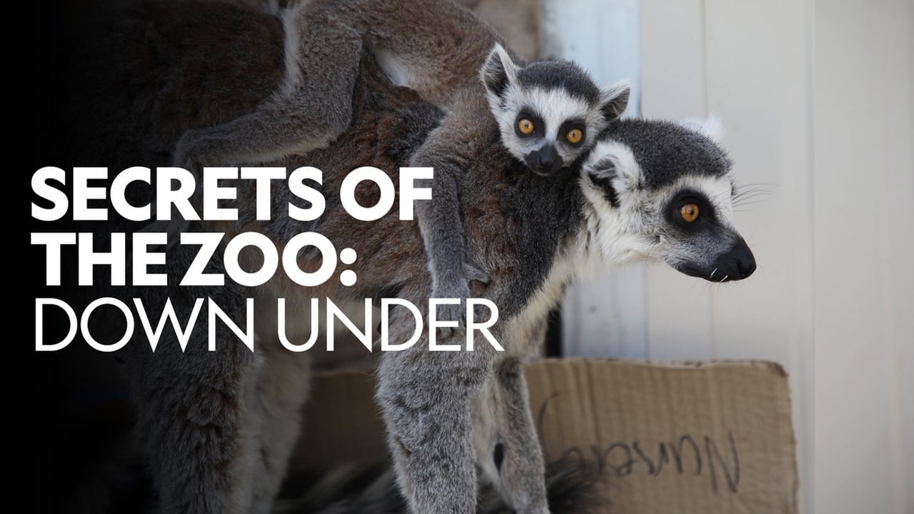 Secrets of the Zoo: Down Under background