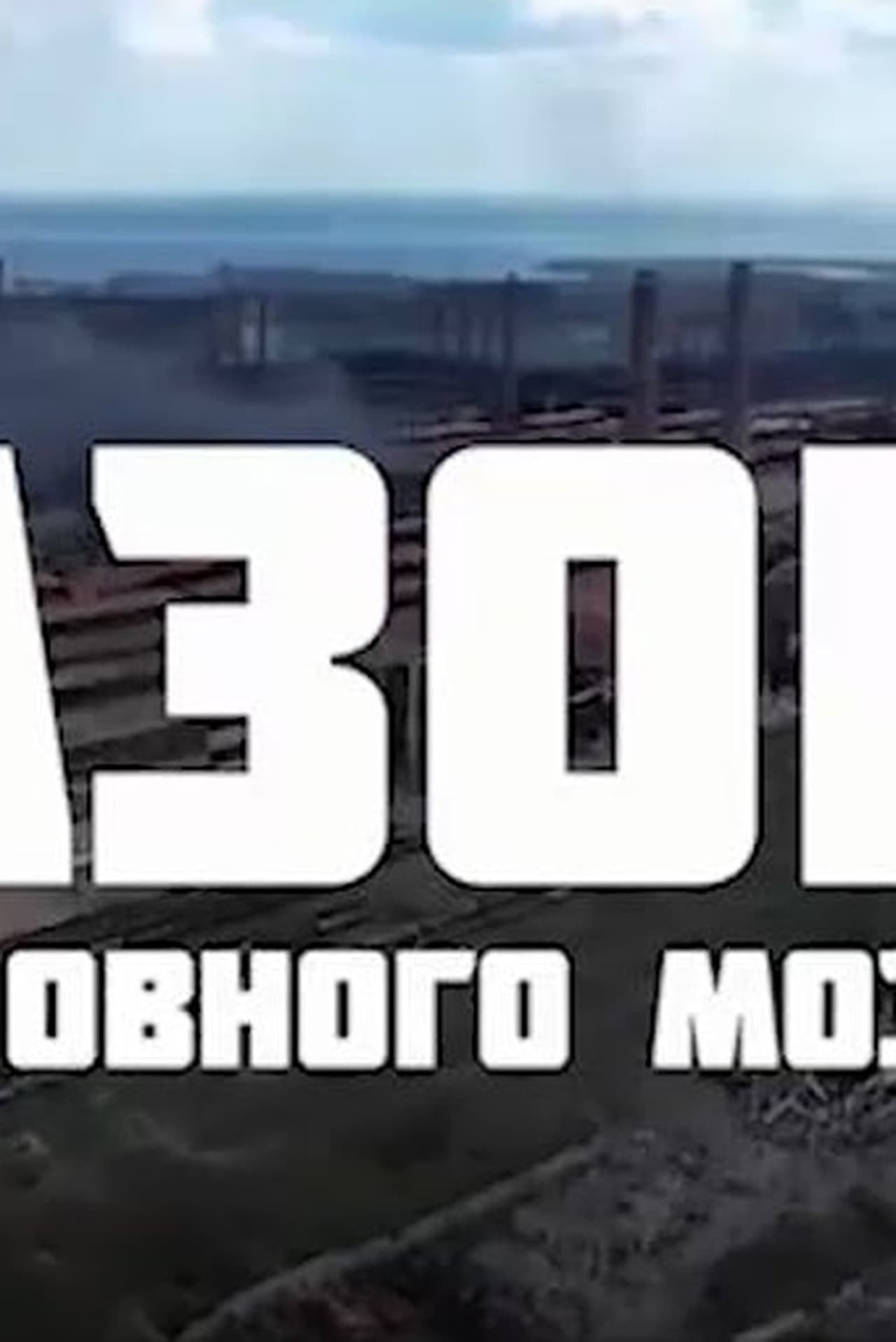 Azov Brain Rot filmaffisch