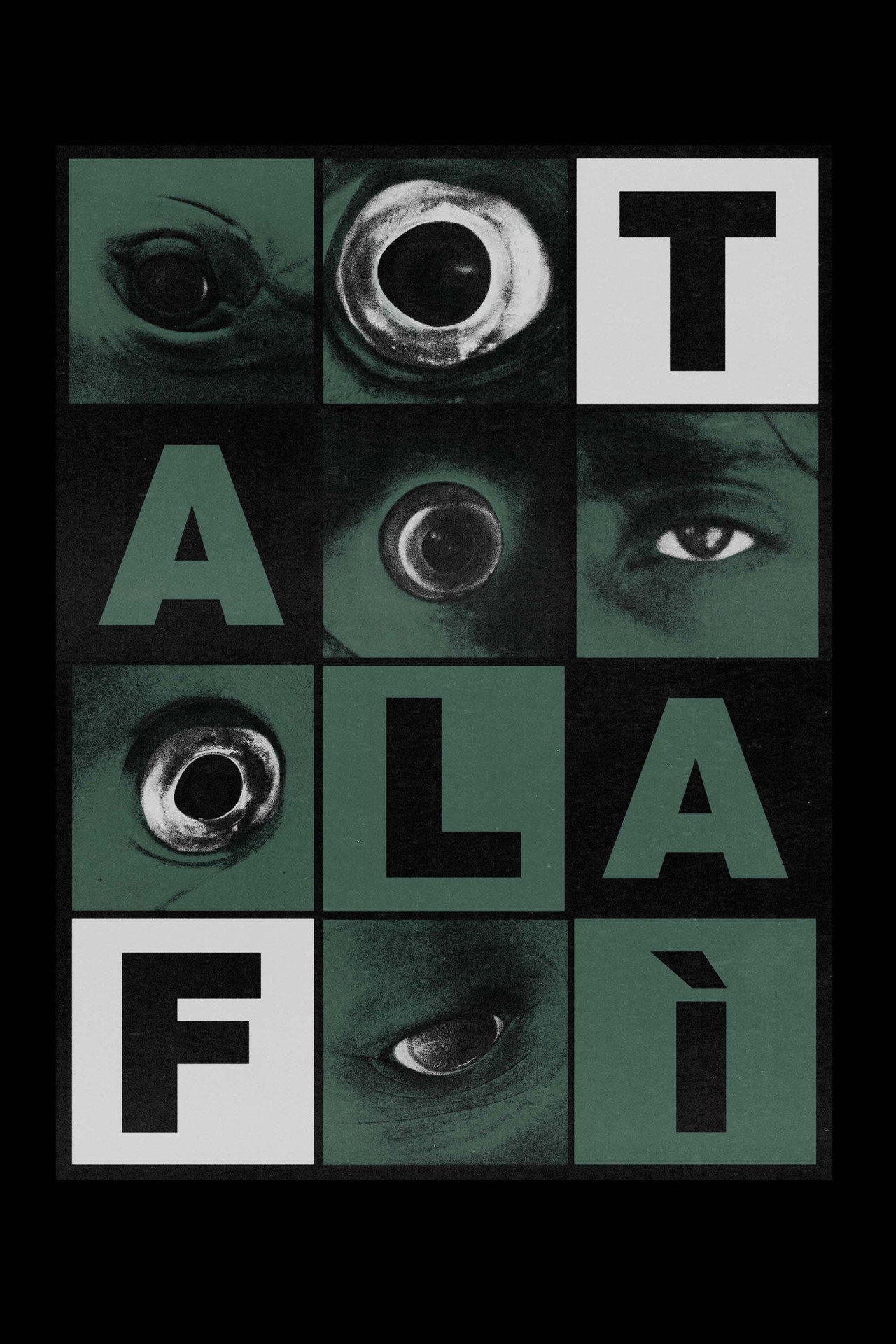 Talafì Backdrop