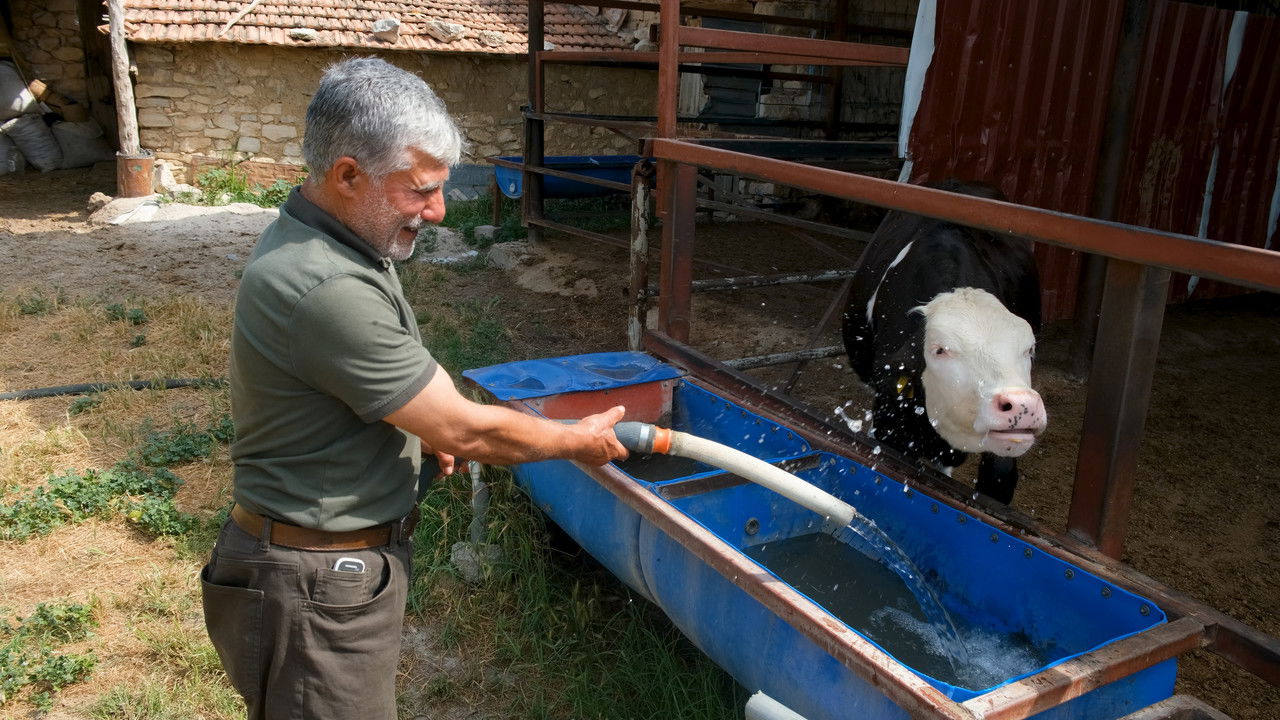 Pedaling in Disappearing Waters backdrop