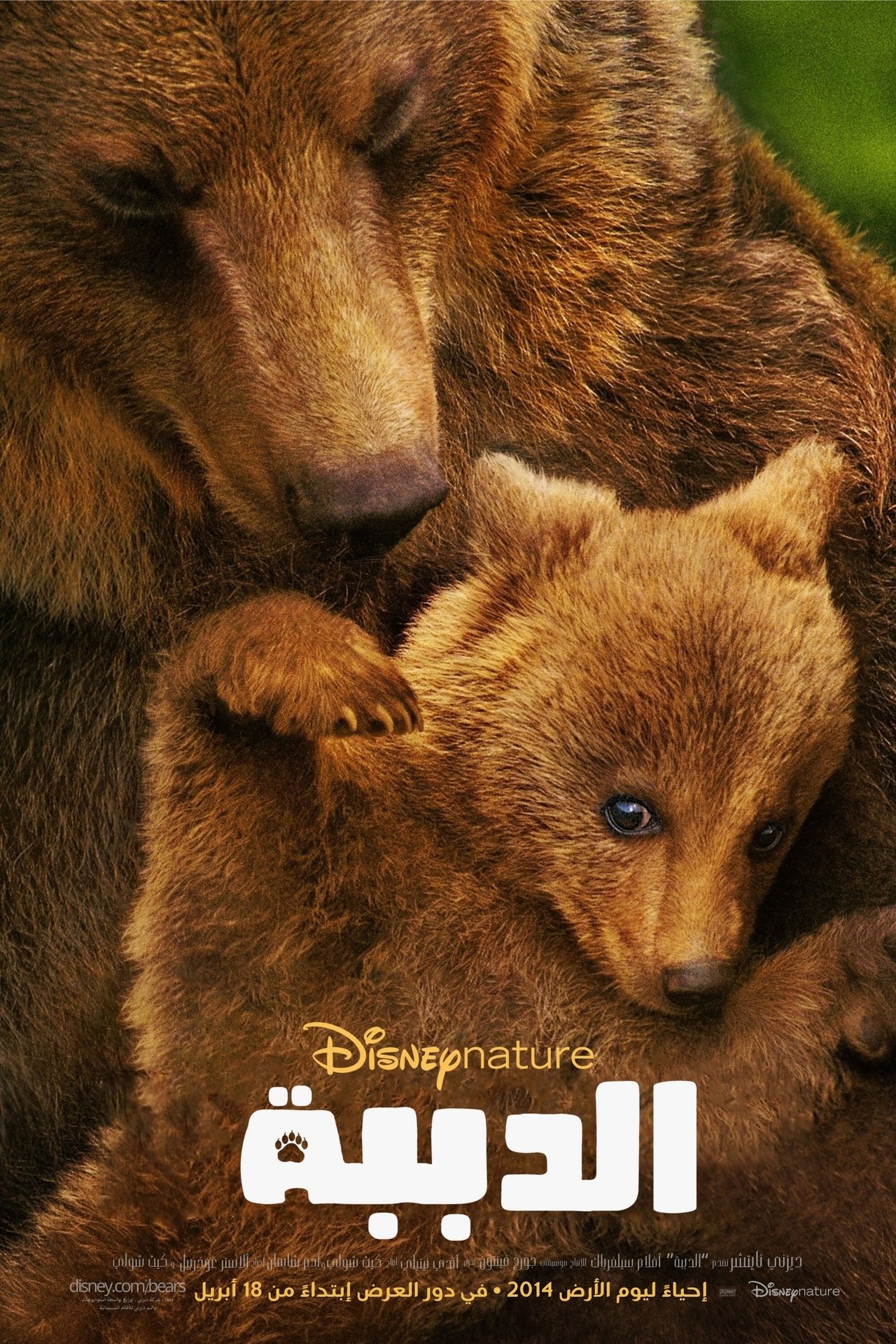 مشاهدة فيلم Bears مترجم بدون اعلانات - بوستر