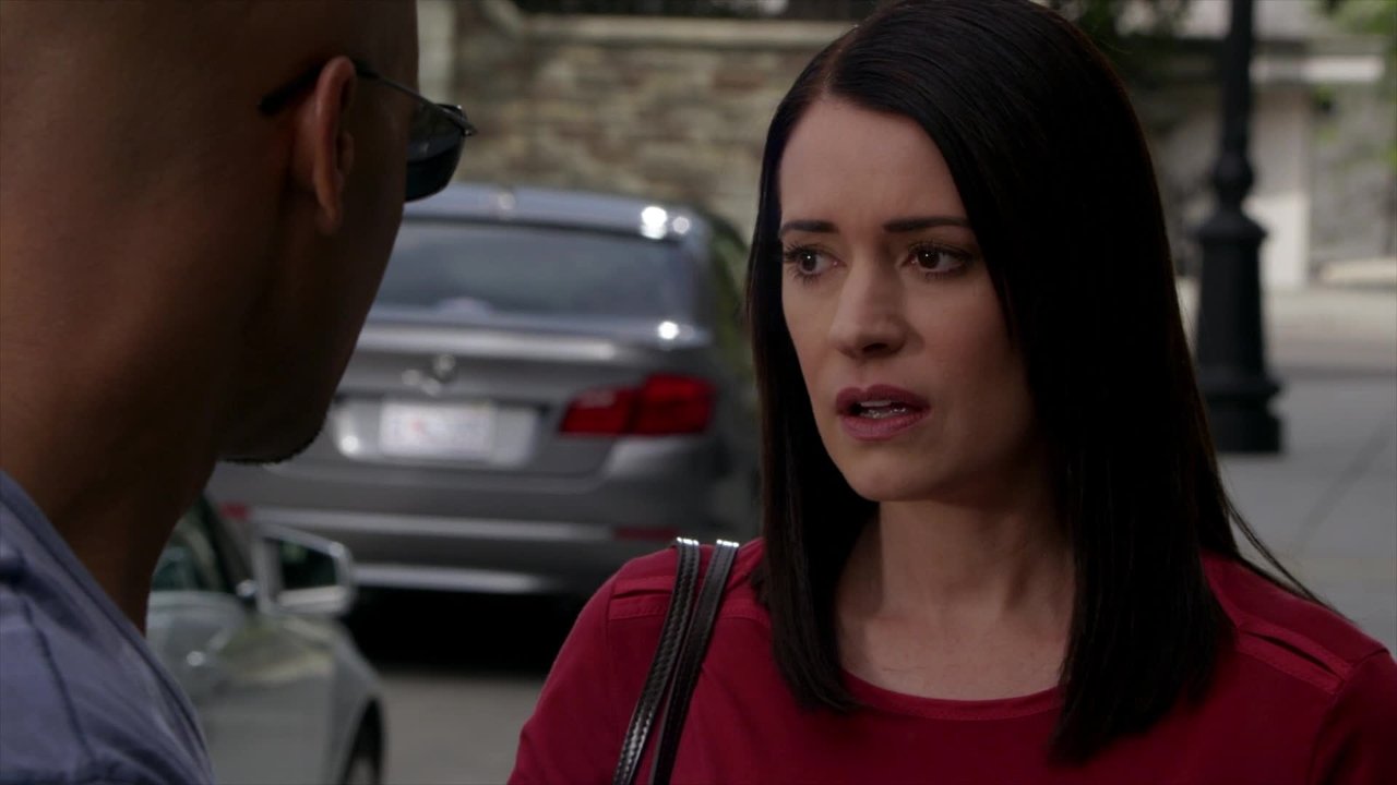 Criminal Minds - Season 7 Episode 24 : Run (2)