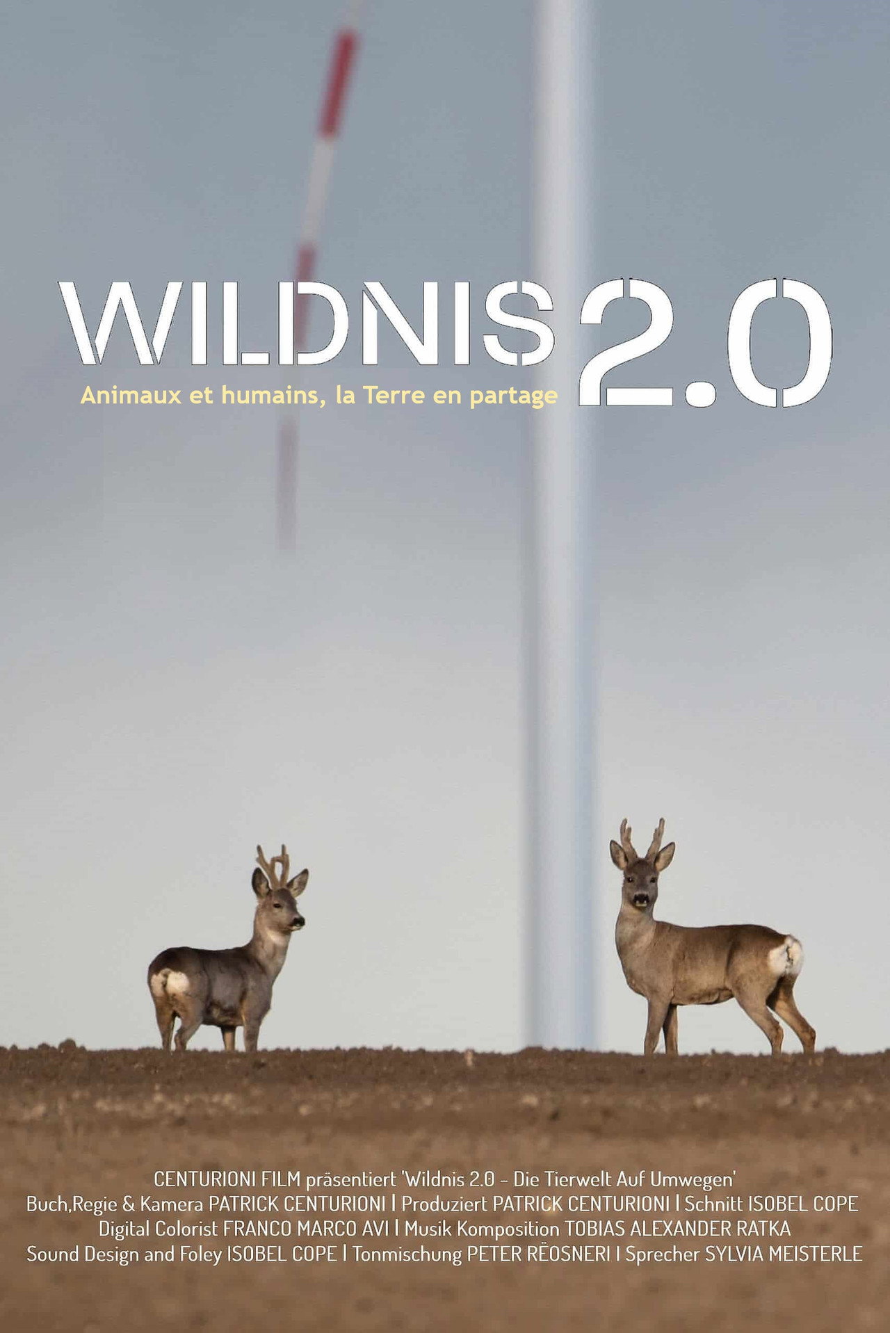Wildnis 2.0 - Die Tierwelt auf Umwegen
