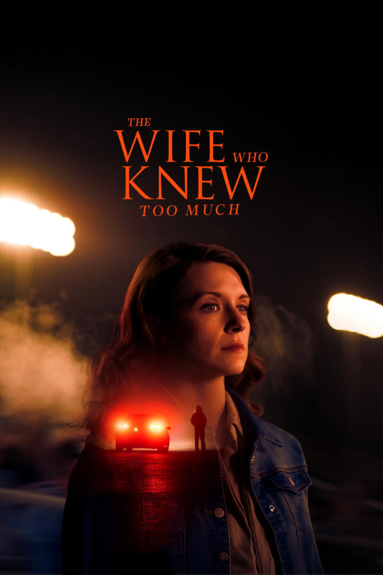 The Wife Who Knew Too Much filmaffisch