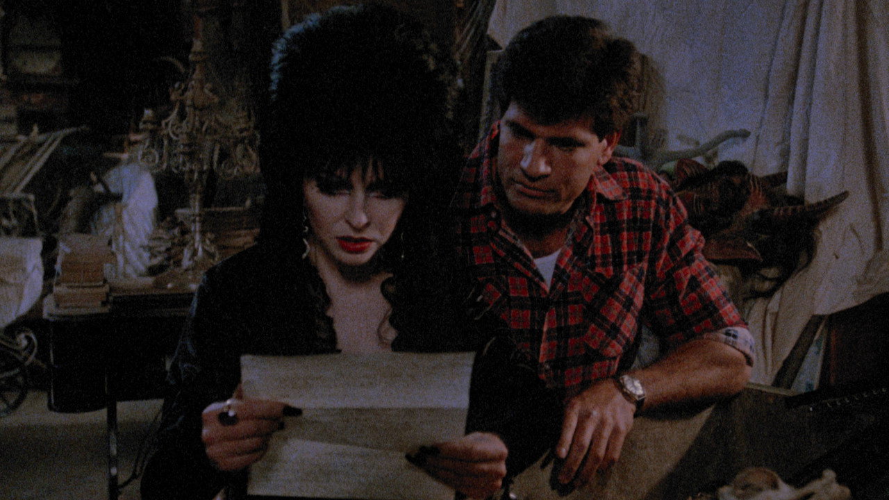 Elvira: Mistress of the Dark background 116