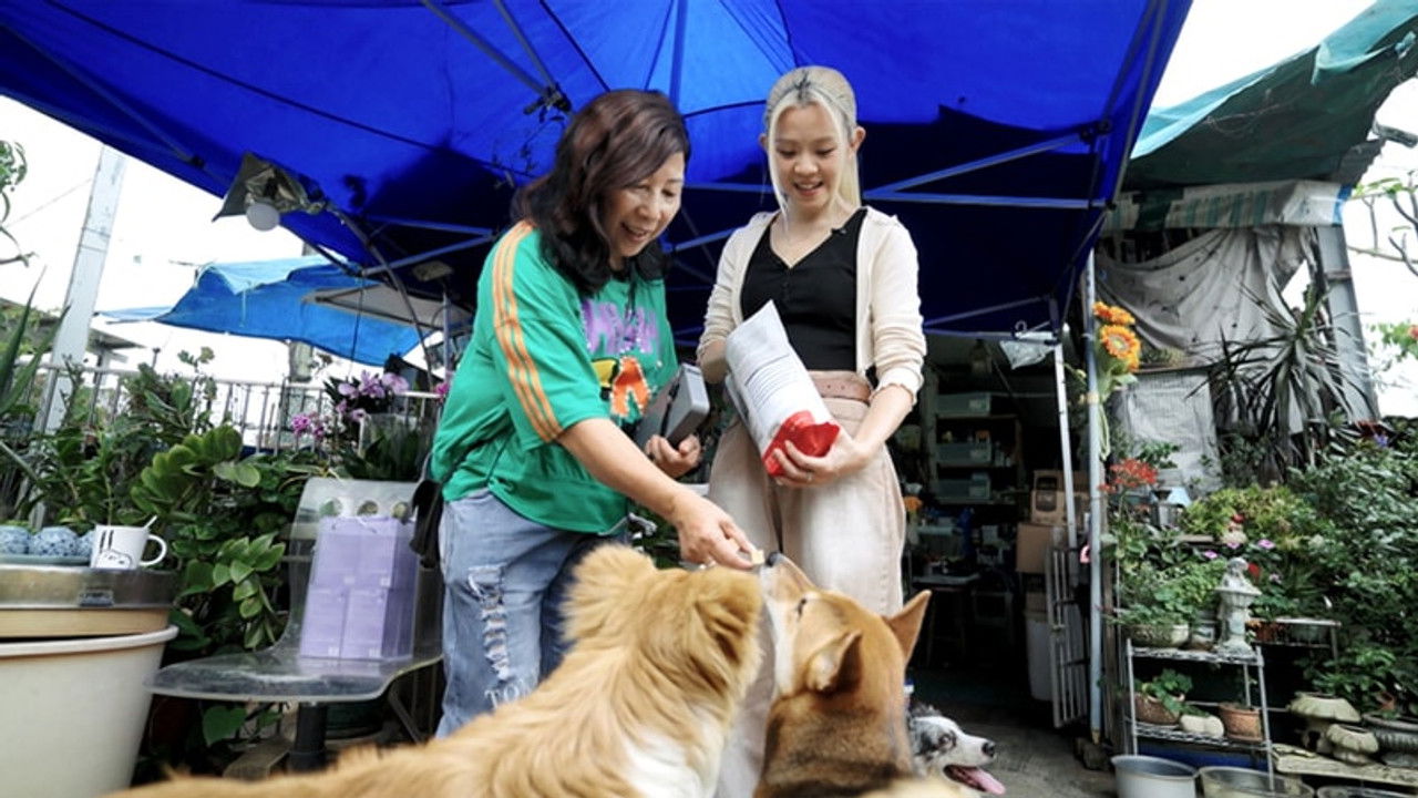 不一樣的爸媽 — Épisode 4