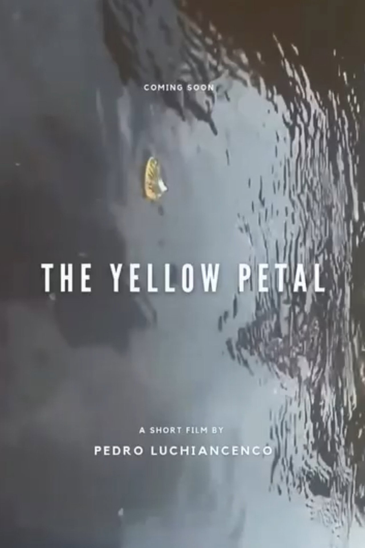 The Yellow Petal