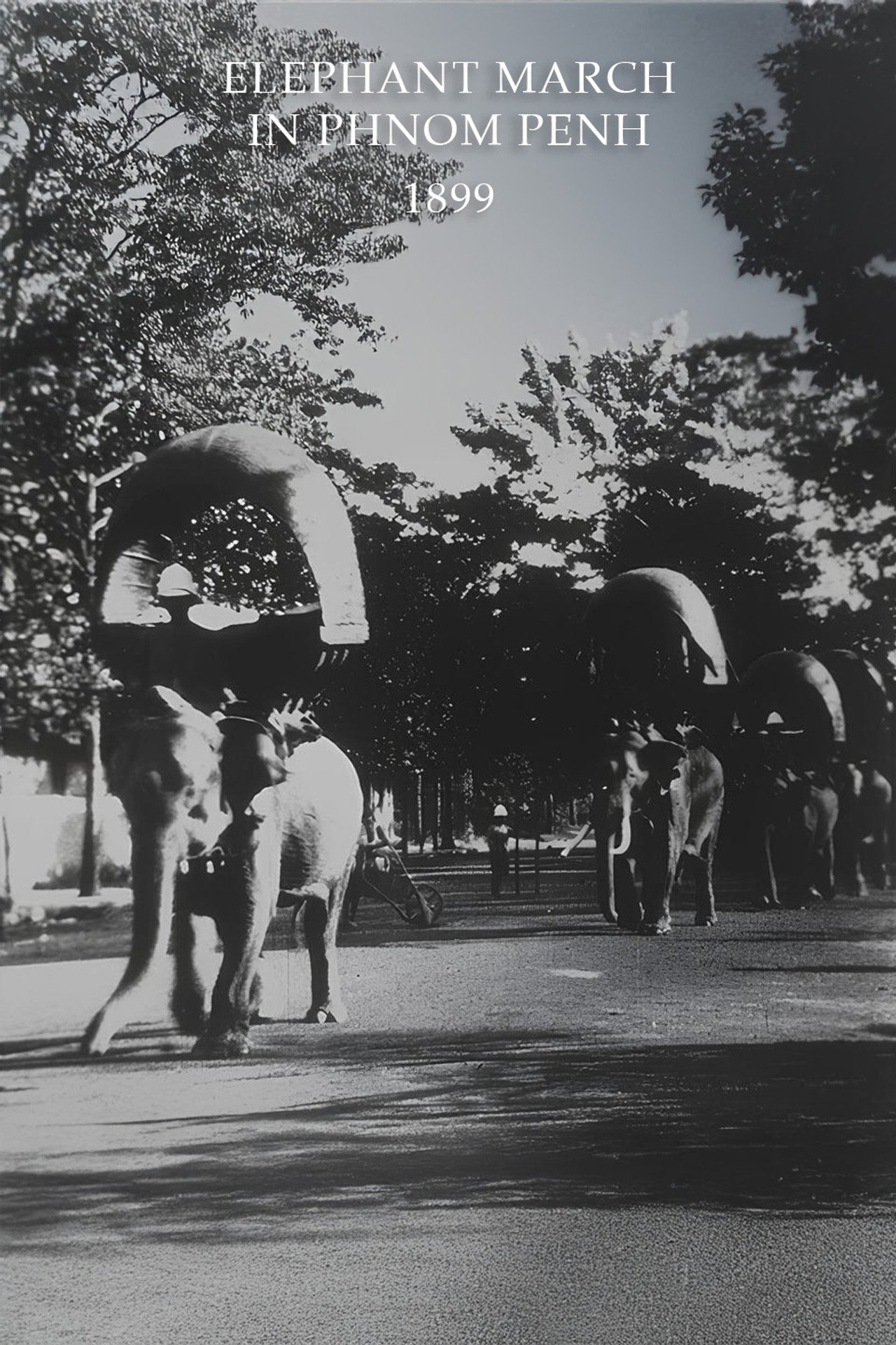 Elephant March in Phnom Penh