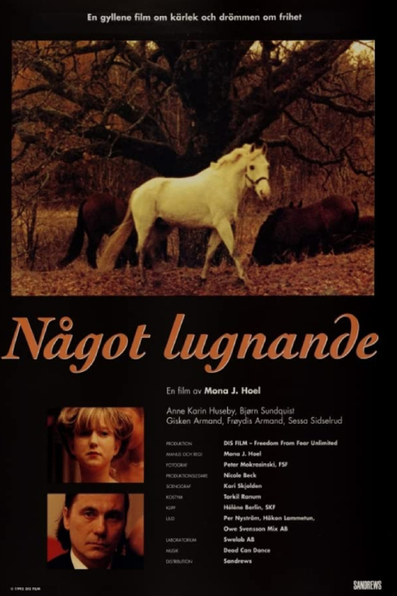 Noe beroligende filmaffisch