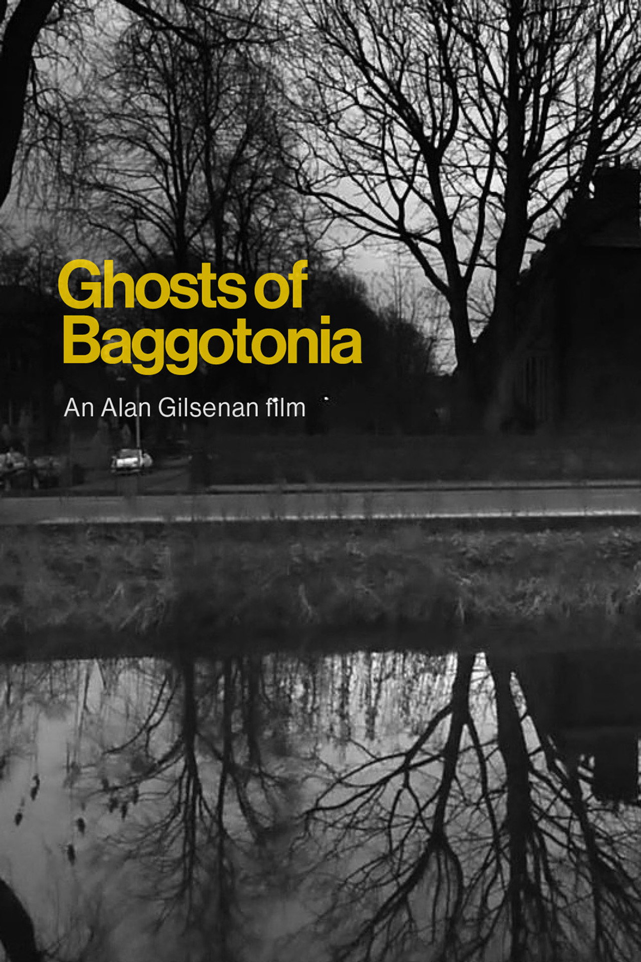 Ghosts of Baggotonia filmaffisch