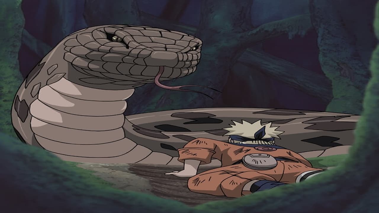 Naruto - Season 1 Episode 28 : Eat or Be Eaten: Panic In the Forest