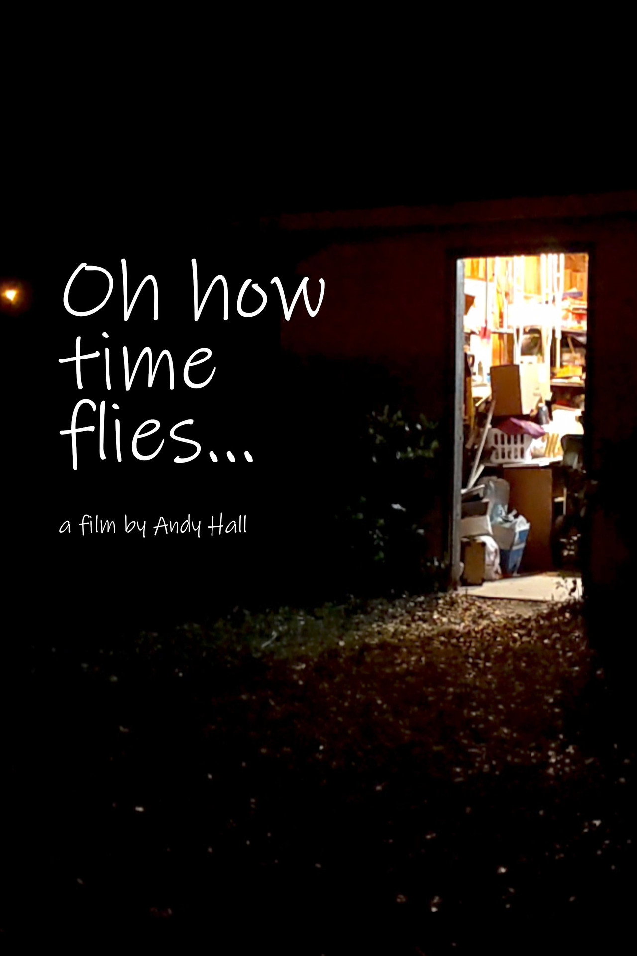 Oh How Time Flies... poster