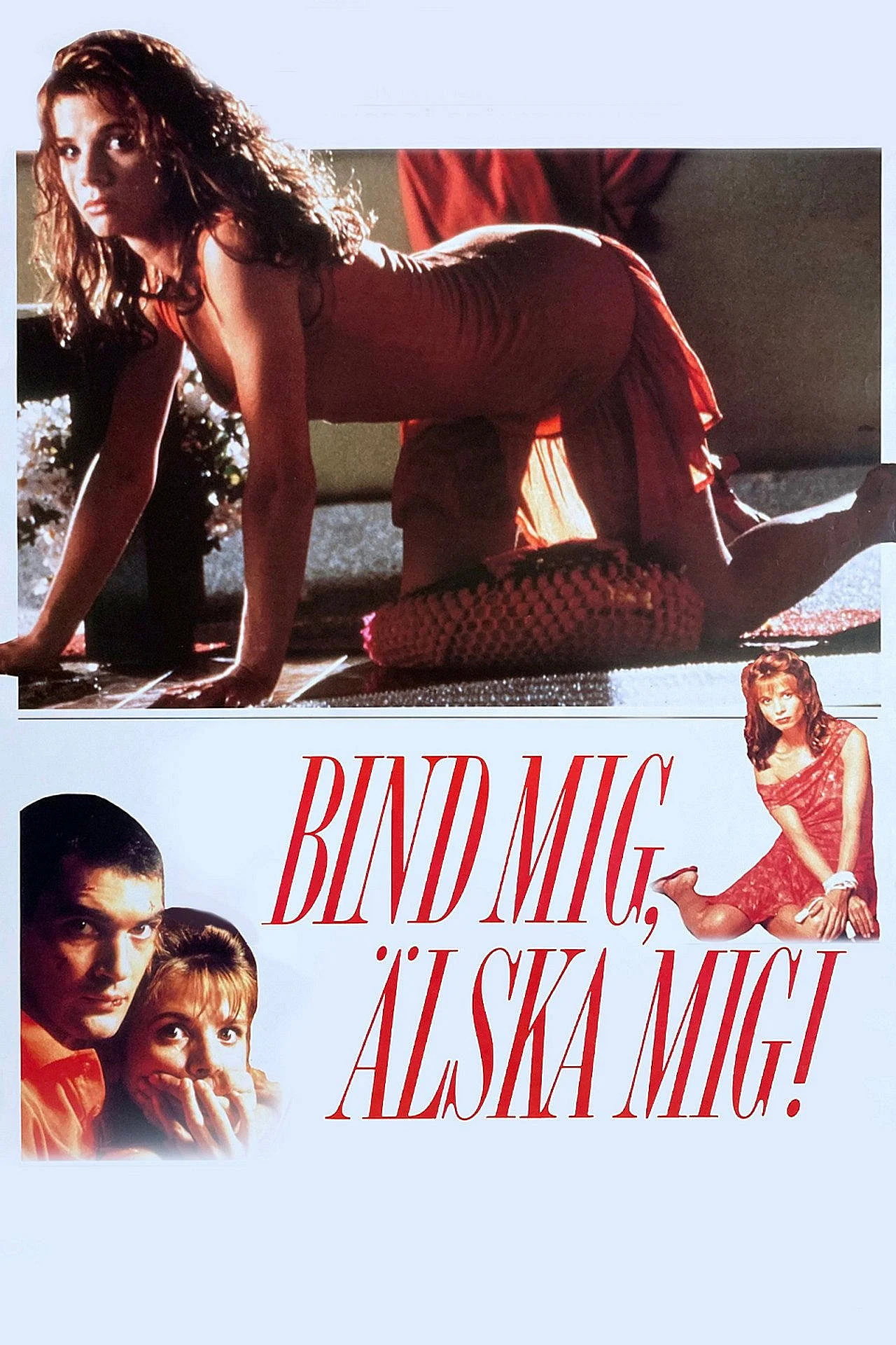 Bind mig, älska mig! filmaffisch