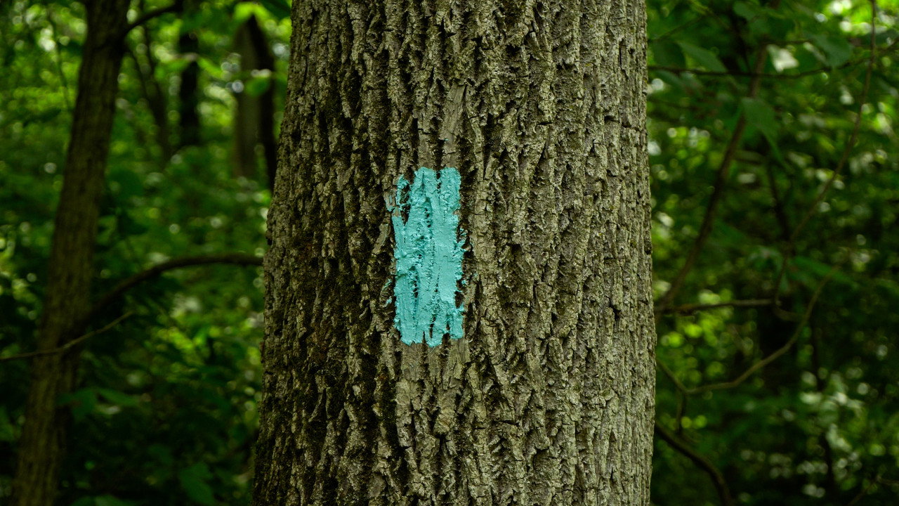 Somewhere, Ohio still 4