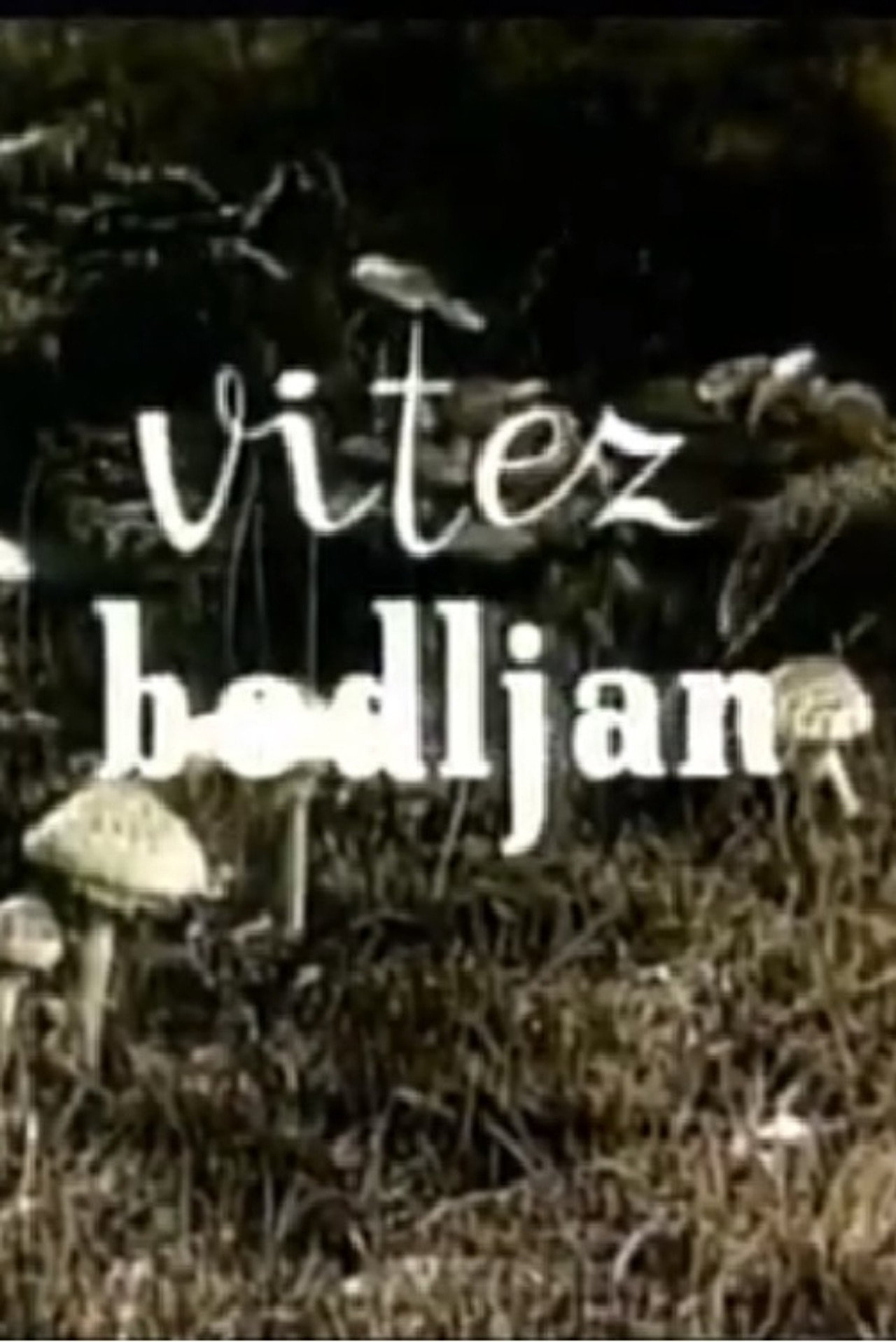 Vitez bodljan filmaffisch