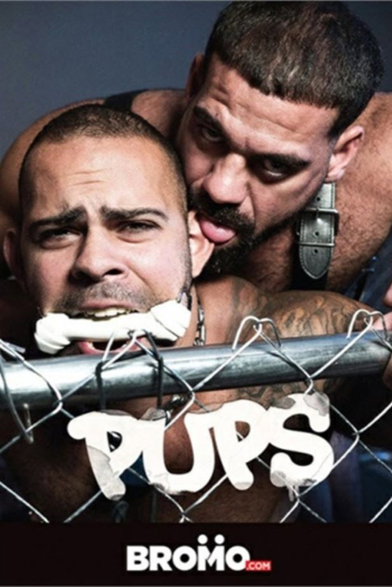Pups filmaffisch