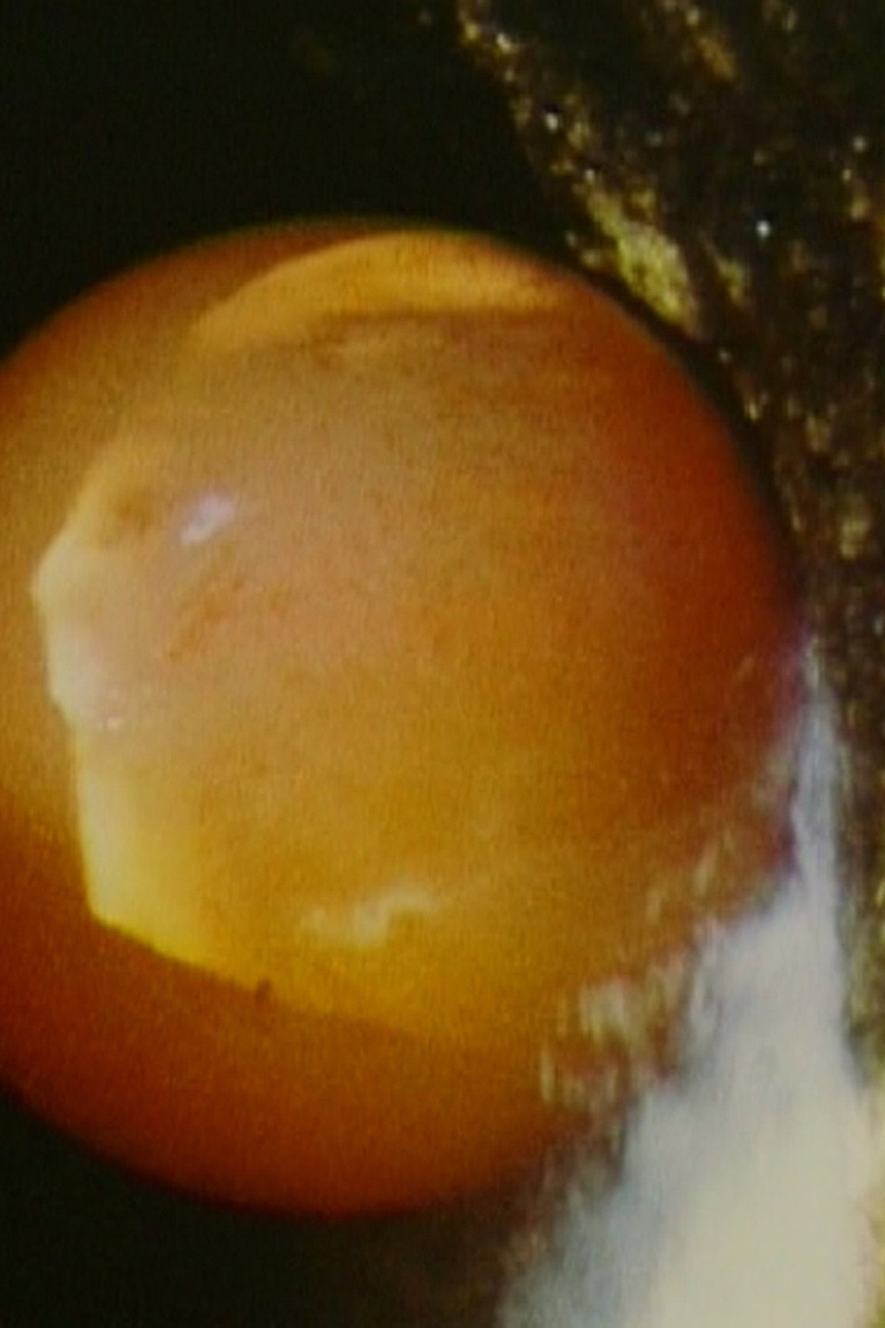 Balloon filmaffisch