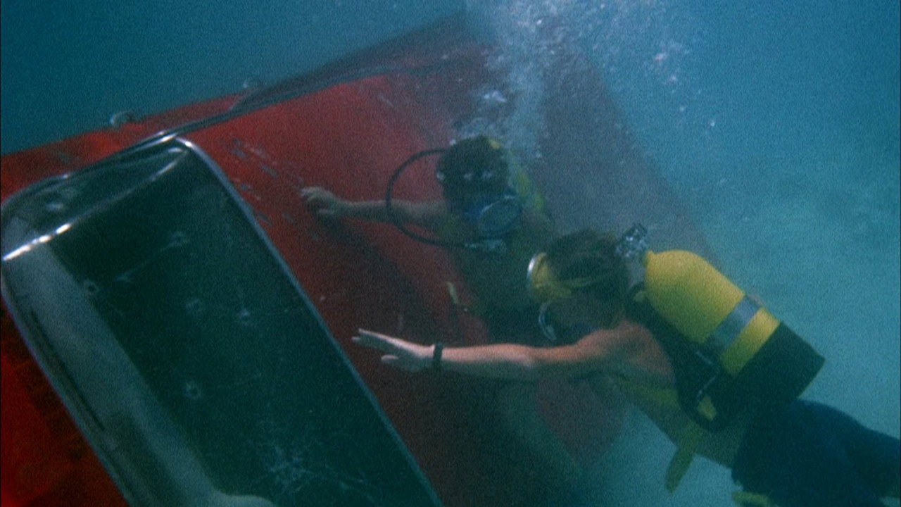 Flipper backdrop