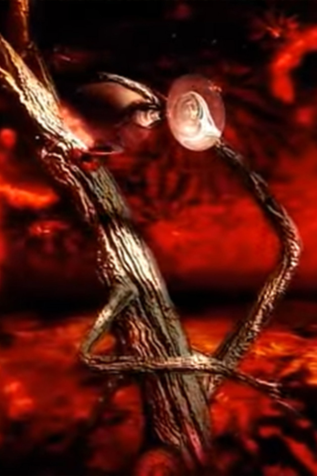 Substantia Stellaris filmaffisch