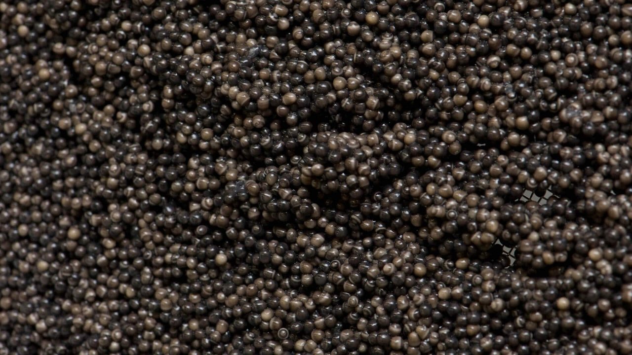 title image