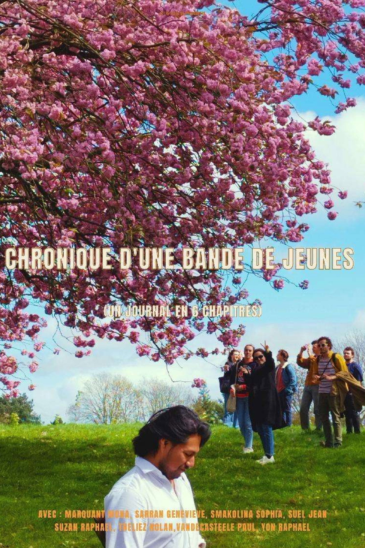 Chronique d'une bande de jeunes (un journal en 6 chapitres) Backdrop