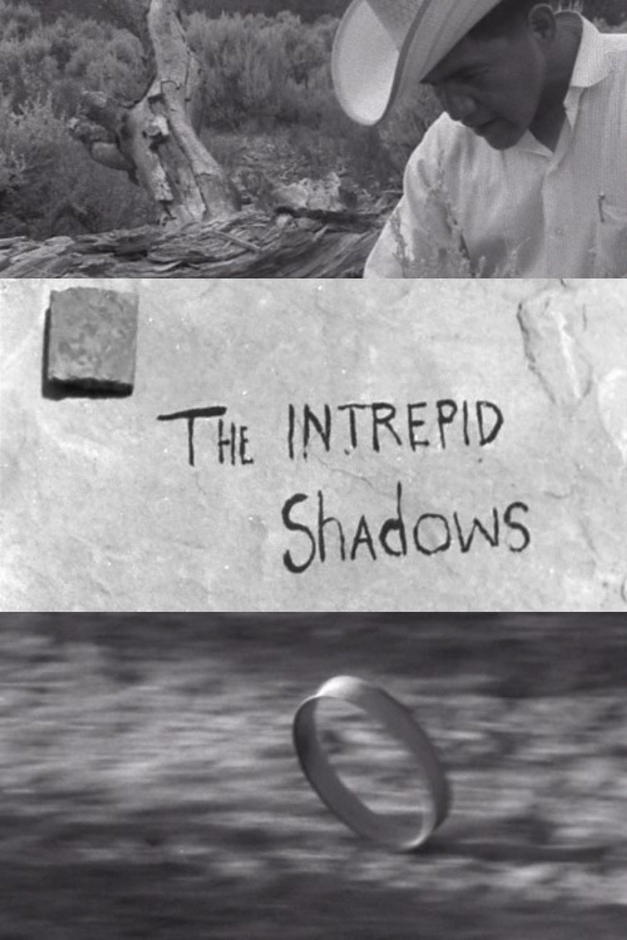 Intrepid Shadows filmaffisch